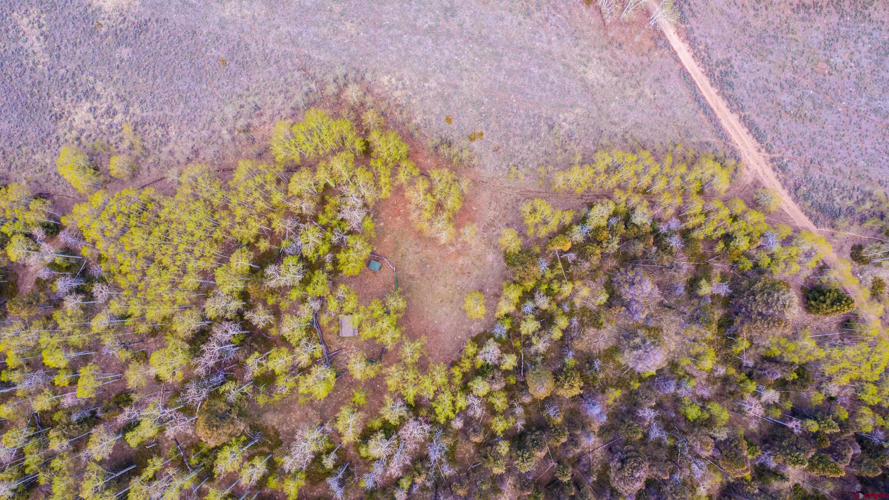 Tbd Tbd Armitage Springs Road Powderhorn, CO 81243 - Photo 16 of 22 Gallery Image 16