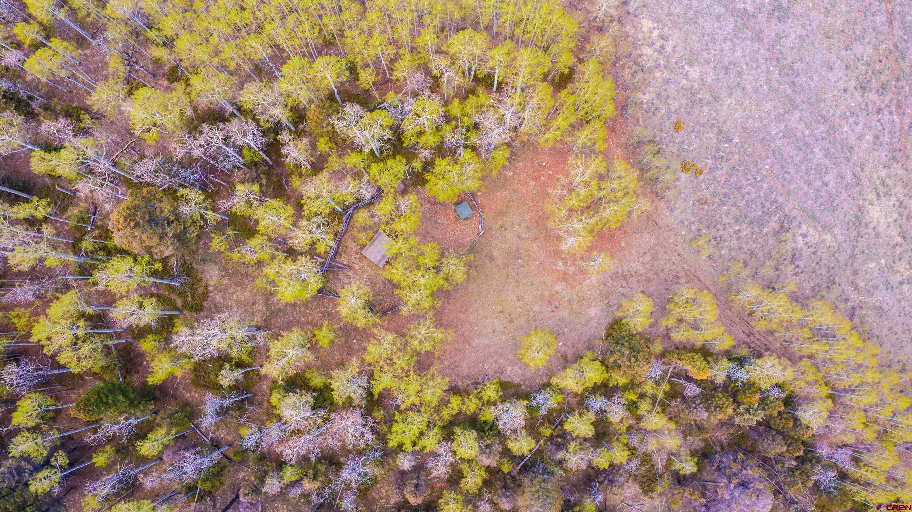 Tbd Tbd Armitage Springs Road Powderhorn, CO 81243 - Photo 17 of 22 Gallery Image 17