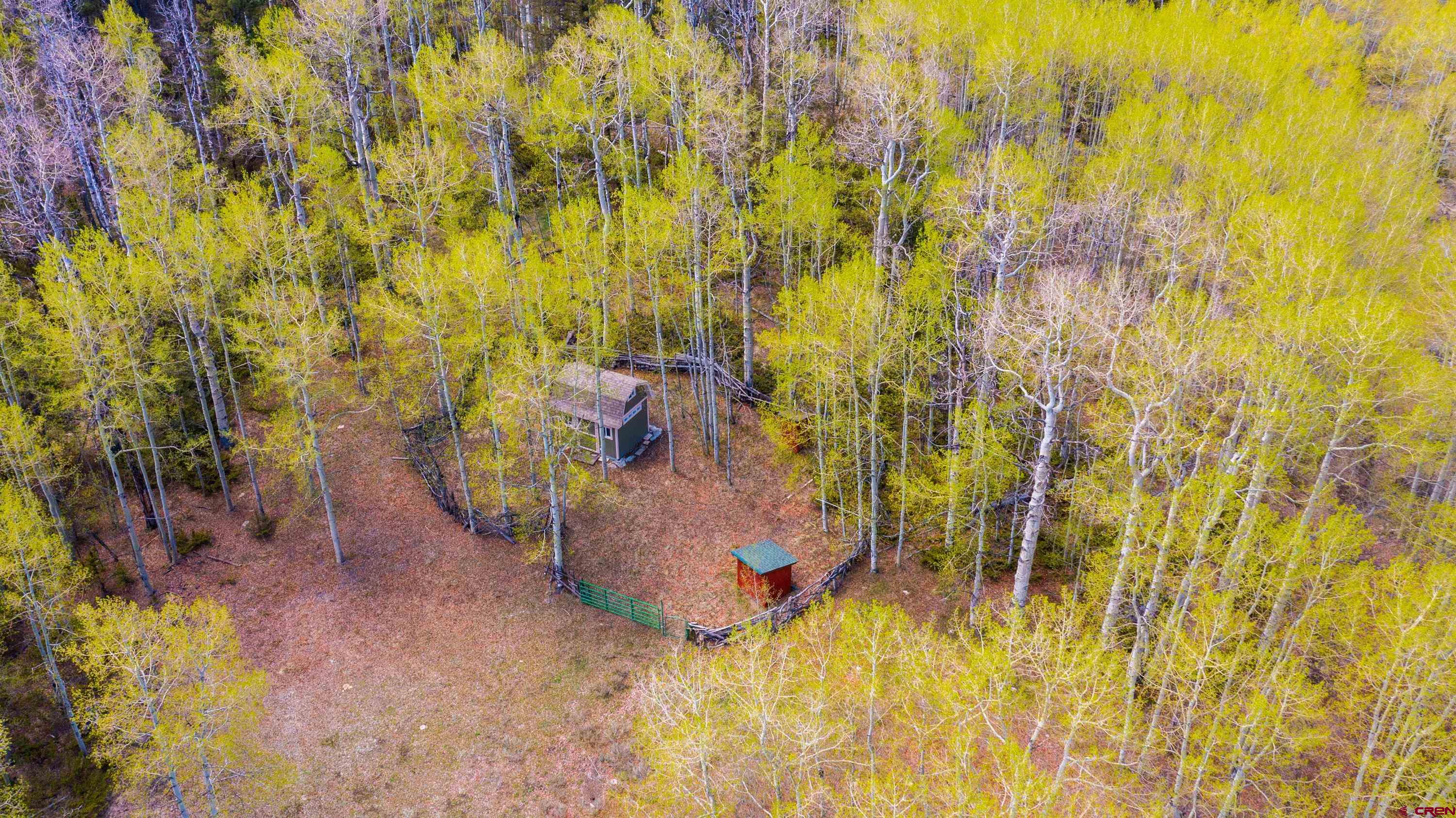 Tbd Tbd Armitage Springs Road Powderhorn, CO 81243 - Photo 20 of 22 Gallery Image 20