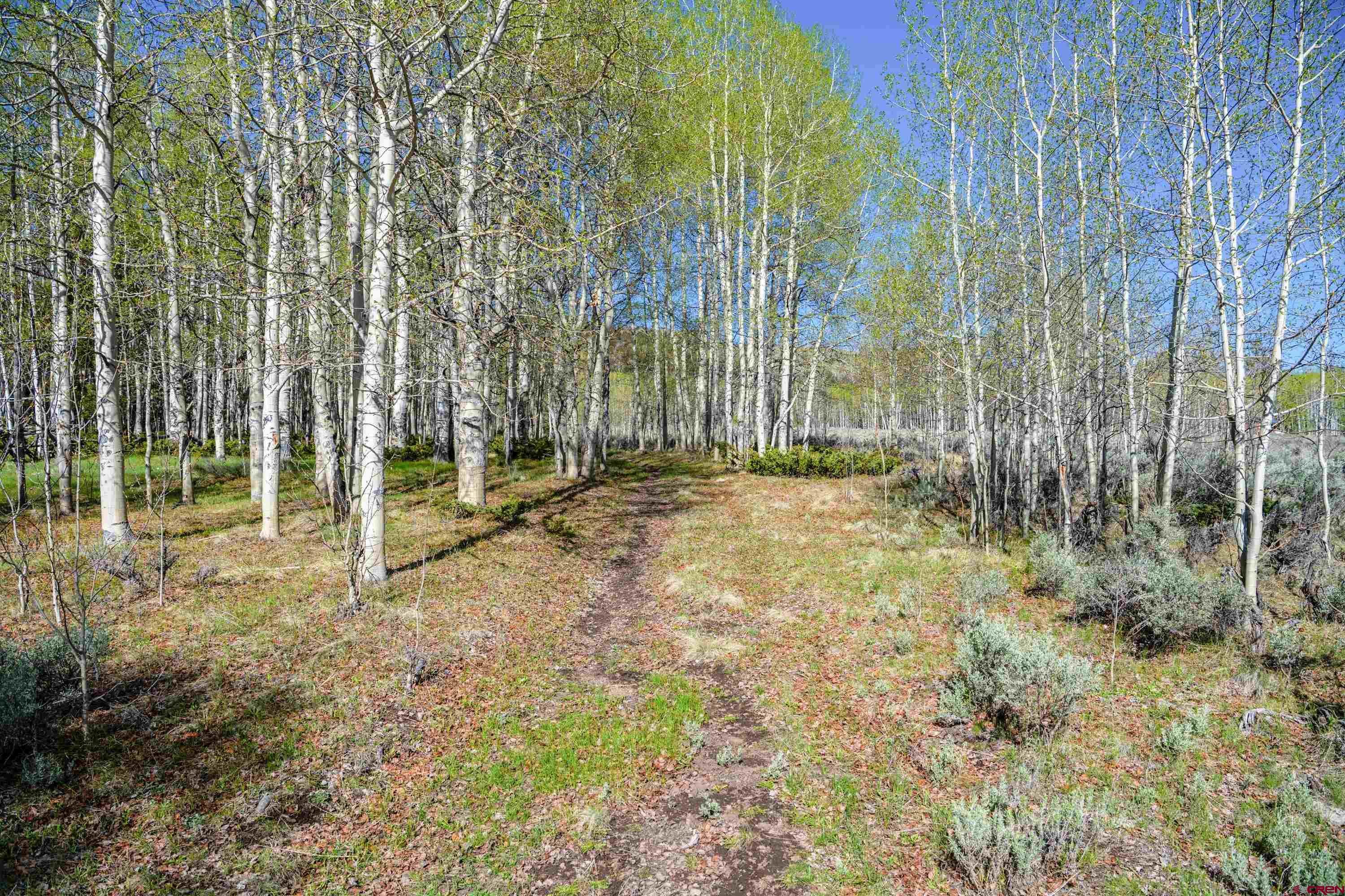 Tbd Tbd Armitage Springs Road Powderhorn, CO 81243 - Photo 22 of 22 Gallery Image 22