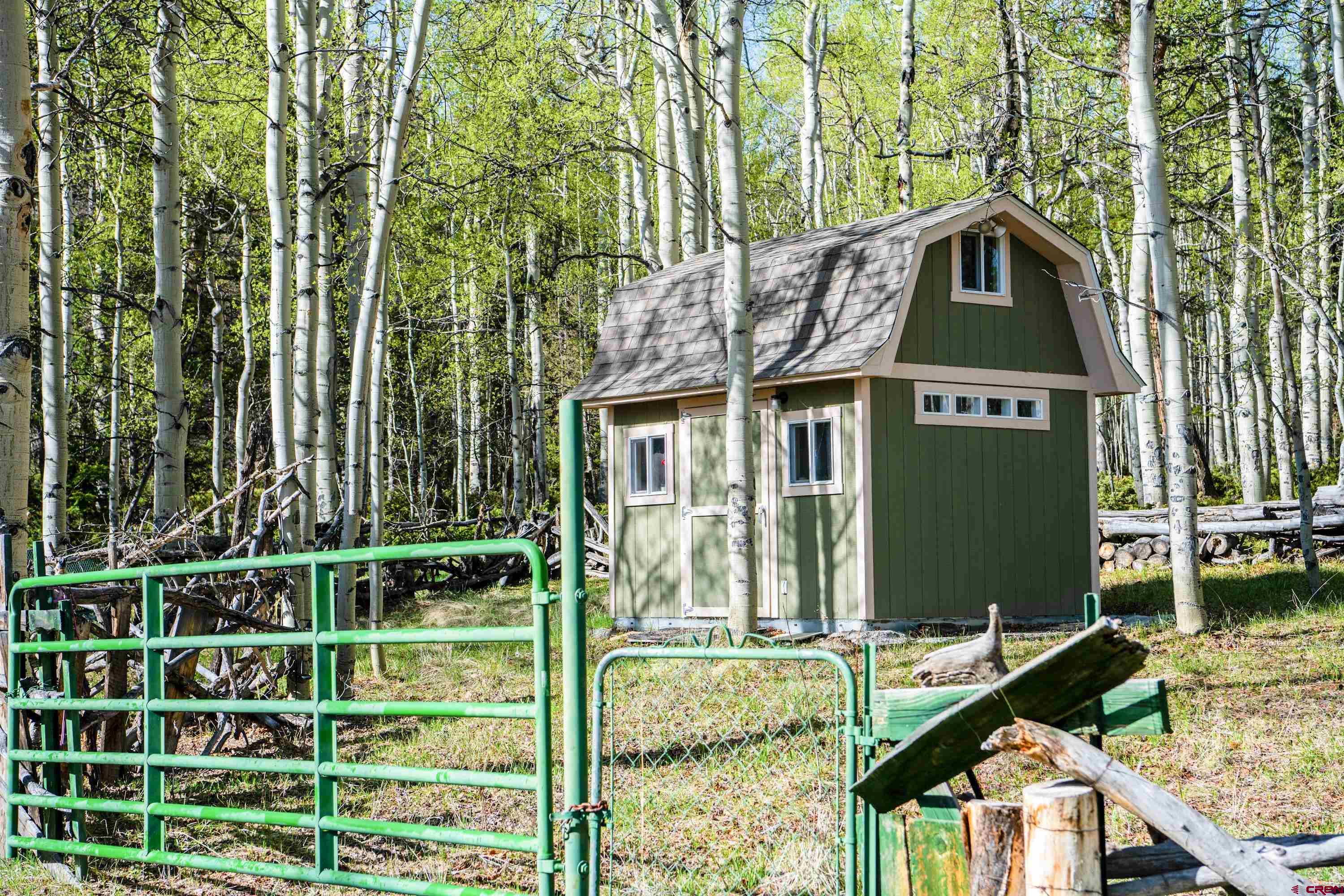 Tbd Tbd Armitage Springs Road Powderhorn, CO 81243 - Photo 4 of 22 Gallery Image 4