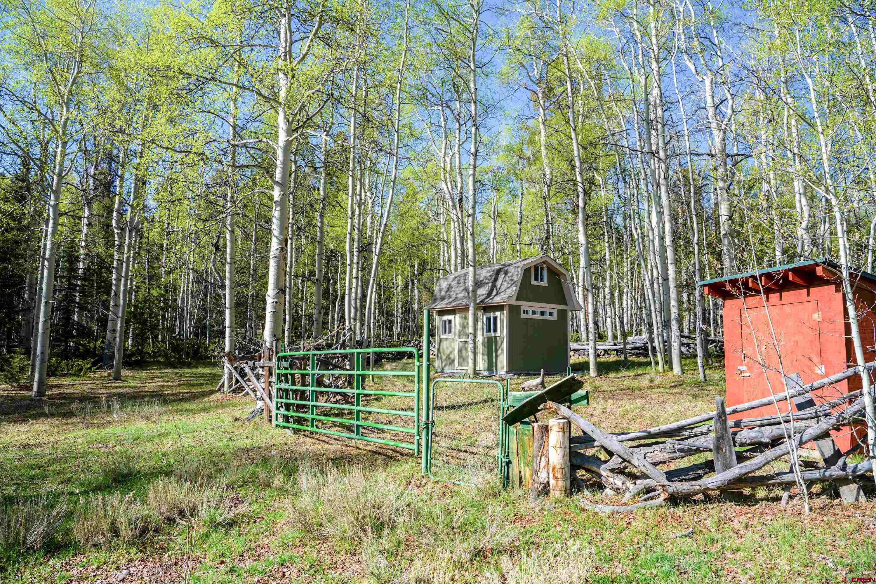 Tbd Tbd Armitage Springs Road Powderhorn, CO 81243 - Photo 5 of 22 Gallery Image 5