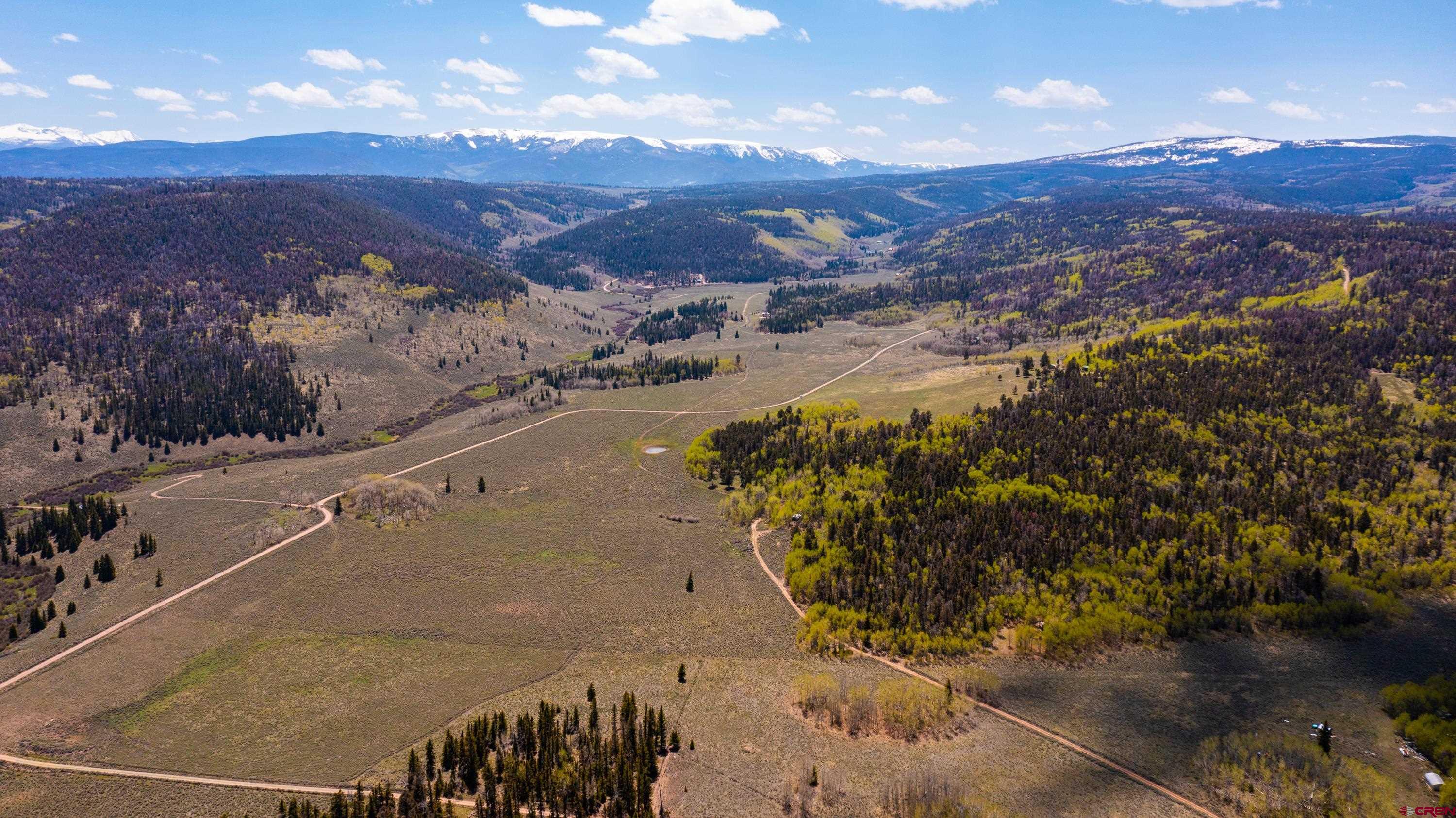 Tbd Tbd Armitage Springs Road Powderhorn, CO 81243 - Photo 6 of 22 Gallery Image 6