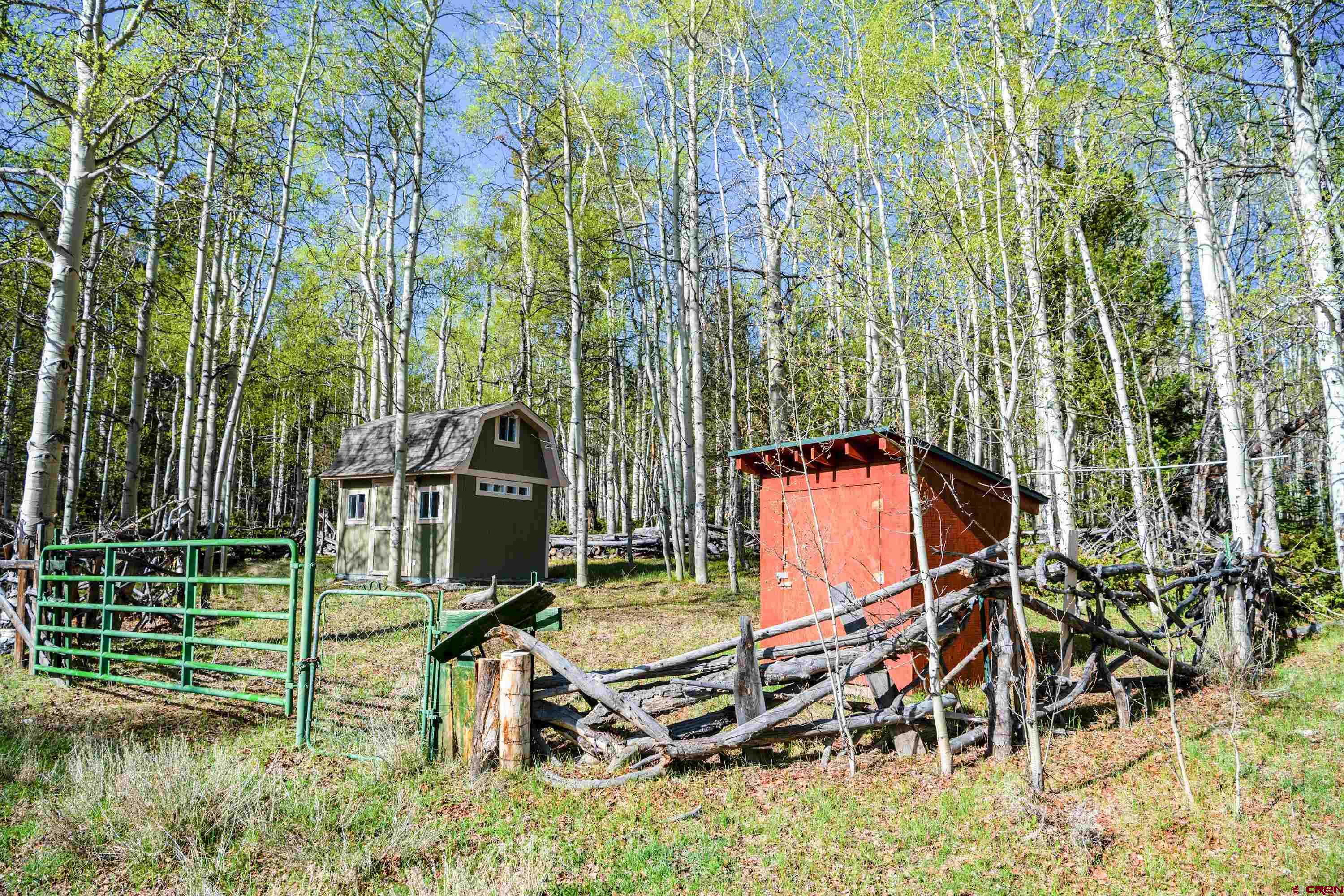 Tbd Tbd Armitage Springs Road Powderhorn, CO 81243 - Photo 8 of 22 Gallery Image 8