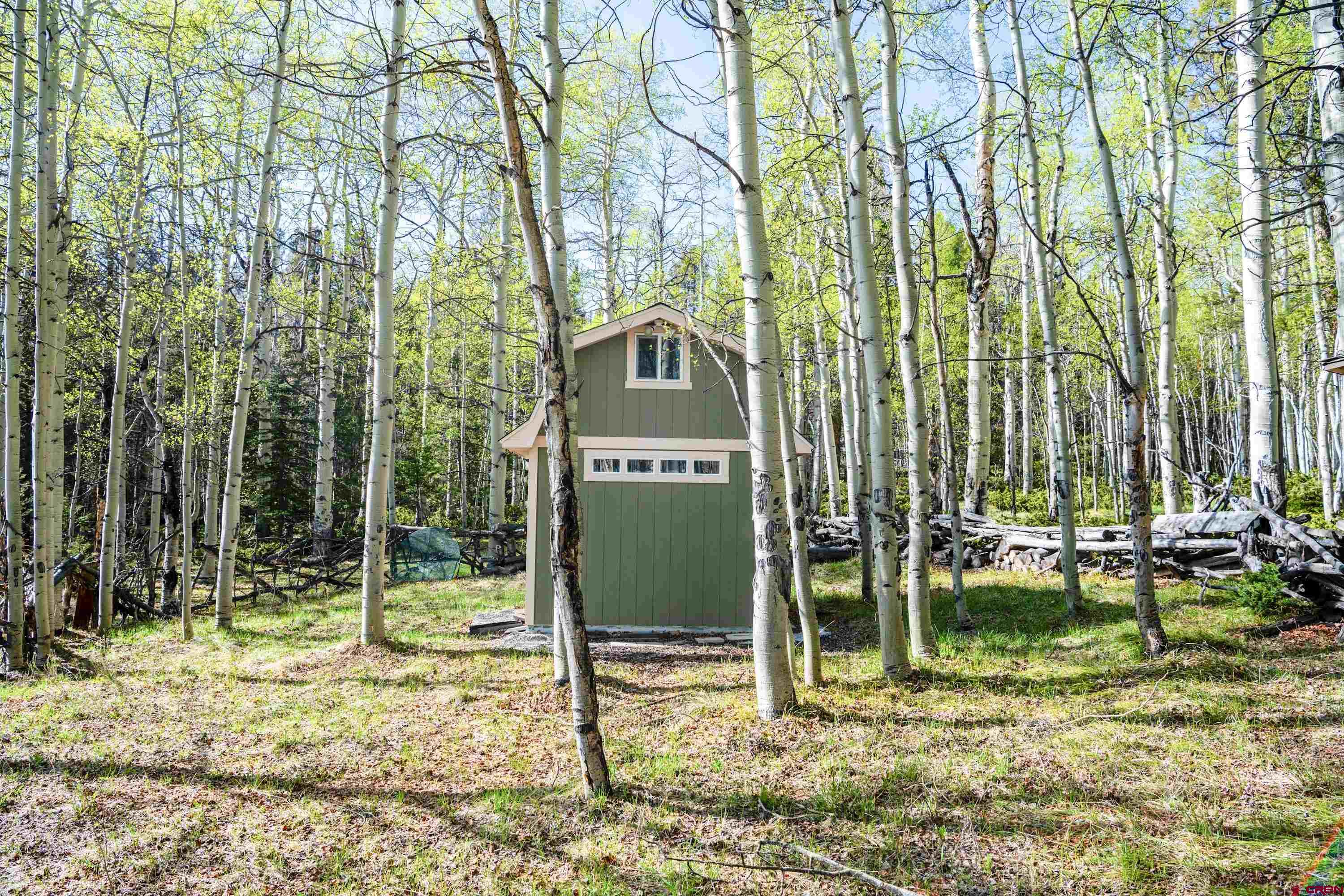 Tbd Tbd Armitage Springs Road Powderhorn, CO 81243 - Photo 10 of 22 Gallery Image 10