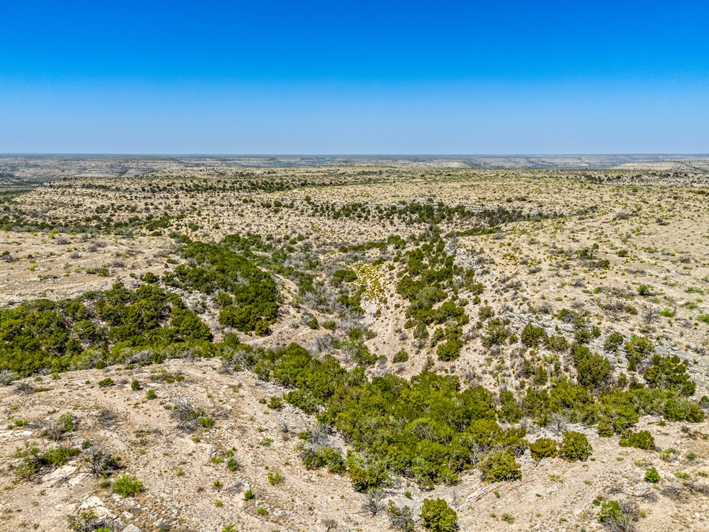 . Deer Run Road Ozona, TX 76943 - Photo 4 of 51 Photo 4