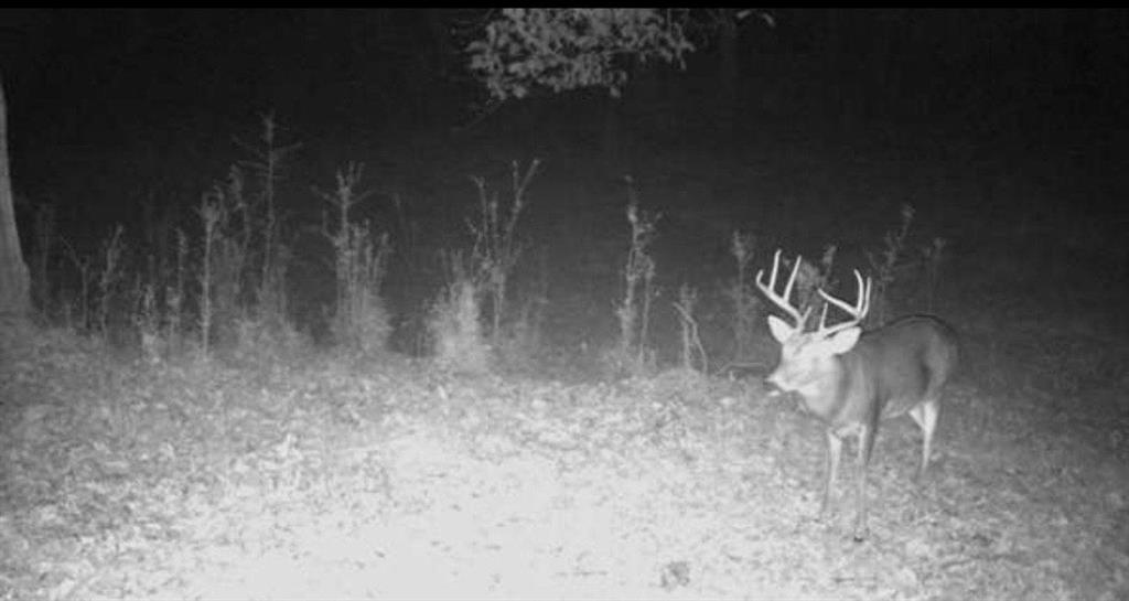 455 River Bend Road Southwest Plainville, GA 30733 - Photo 57 of 59