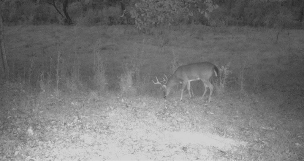 455 River Bend Road Southwest Plainville, GA 30733 - Photo 58 of 59