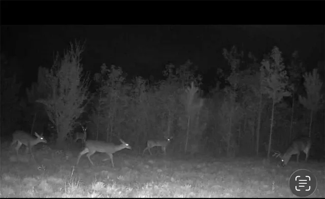 $299,000 | 455 River Bend Road Southwest, Plainville, GA 30733