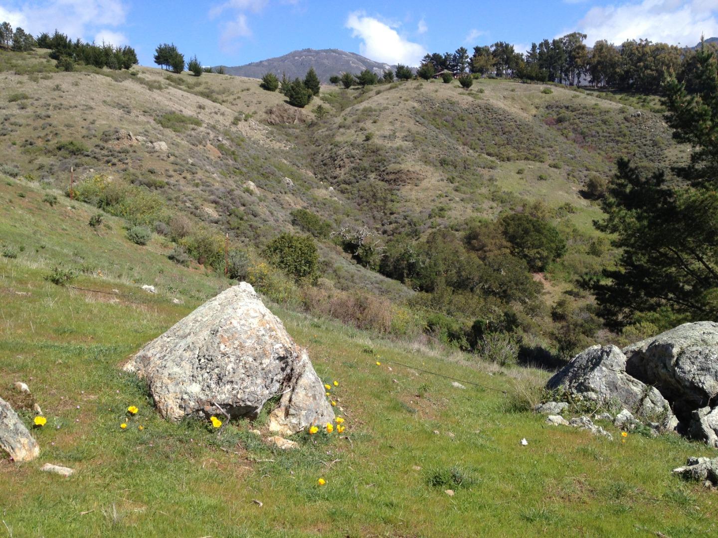 47720 Clear Ridge Road Big Sur, CA 93920 - Photo 7 of 10 Gallery Image 7