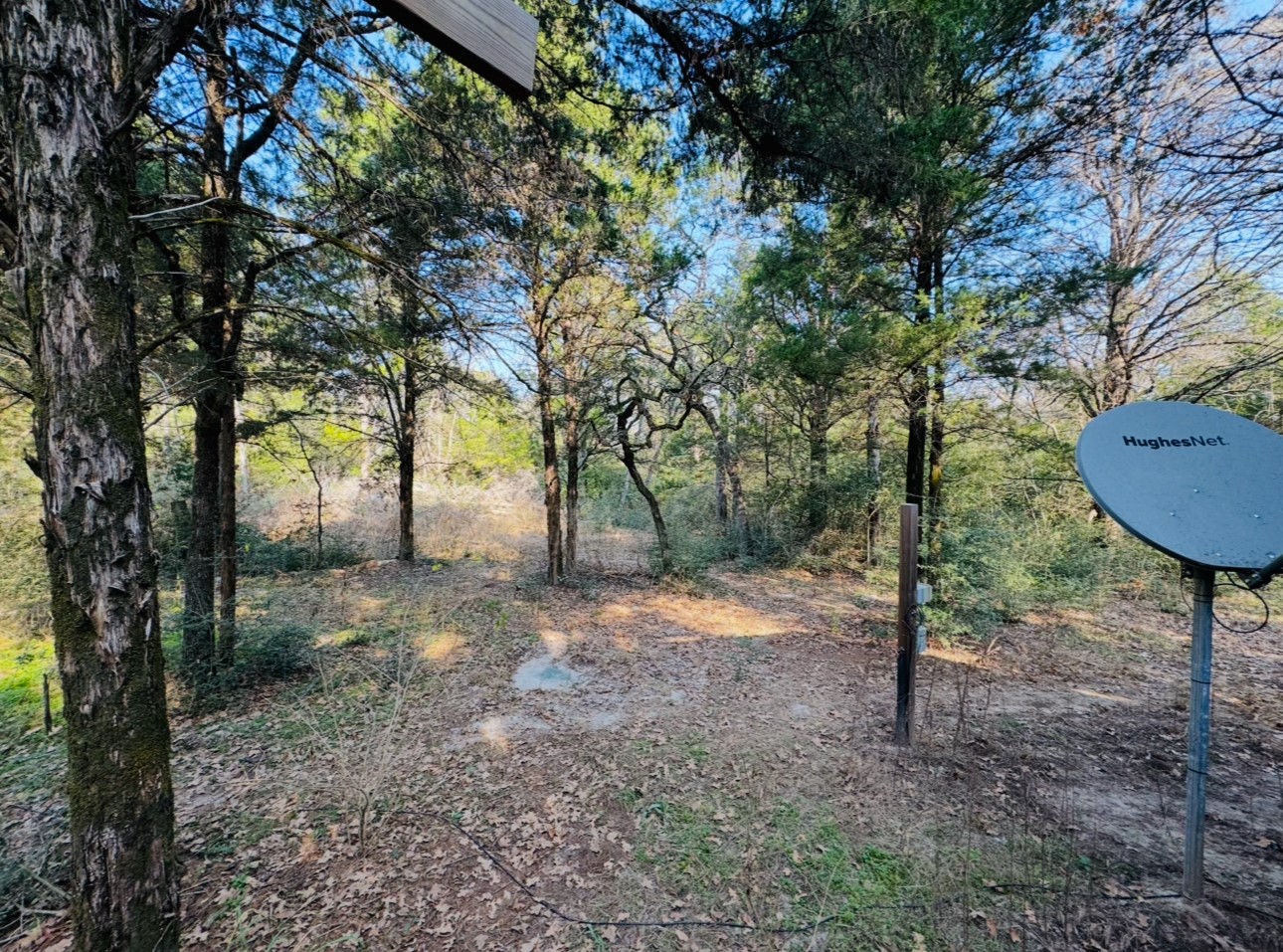 1575 County Rd B Lexington, TX 78947 - Photo 27 of 35 a view of a yard with a tree