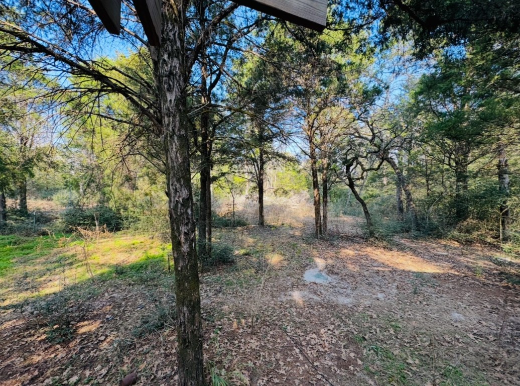 1575 County Rd B Lexington, TX 78947 - Photo 28 of 35 a view of a yard with trees