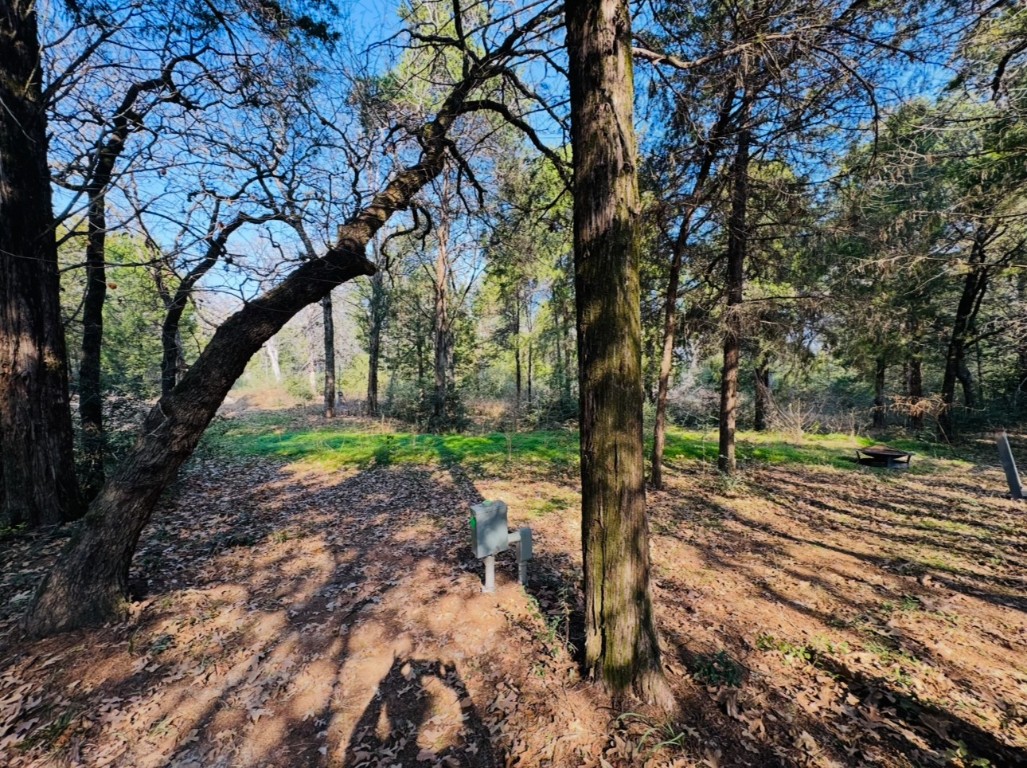 1575 County Rd B Lexington, TX 78947 - Photo 29 of 35 a view of a yard with plants and trees