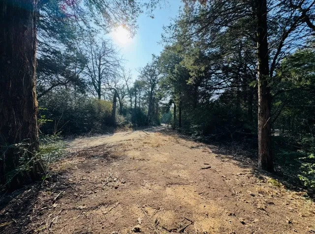 $250,000 | 1575 County Rd B, Lexington, TX 78947