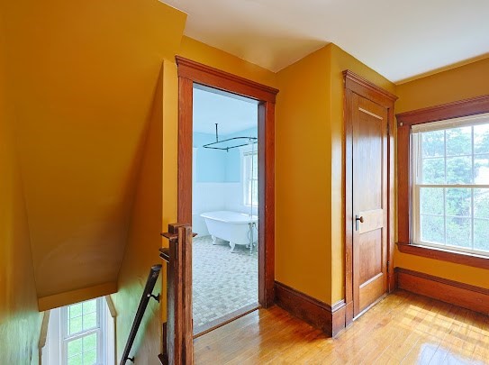 37 Cushing Road Cohasset, MA 02025 - Photo 16 of 19