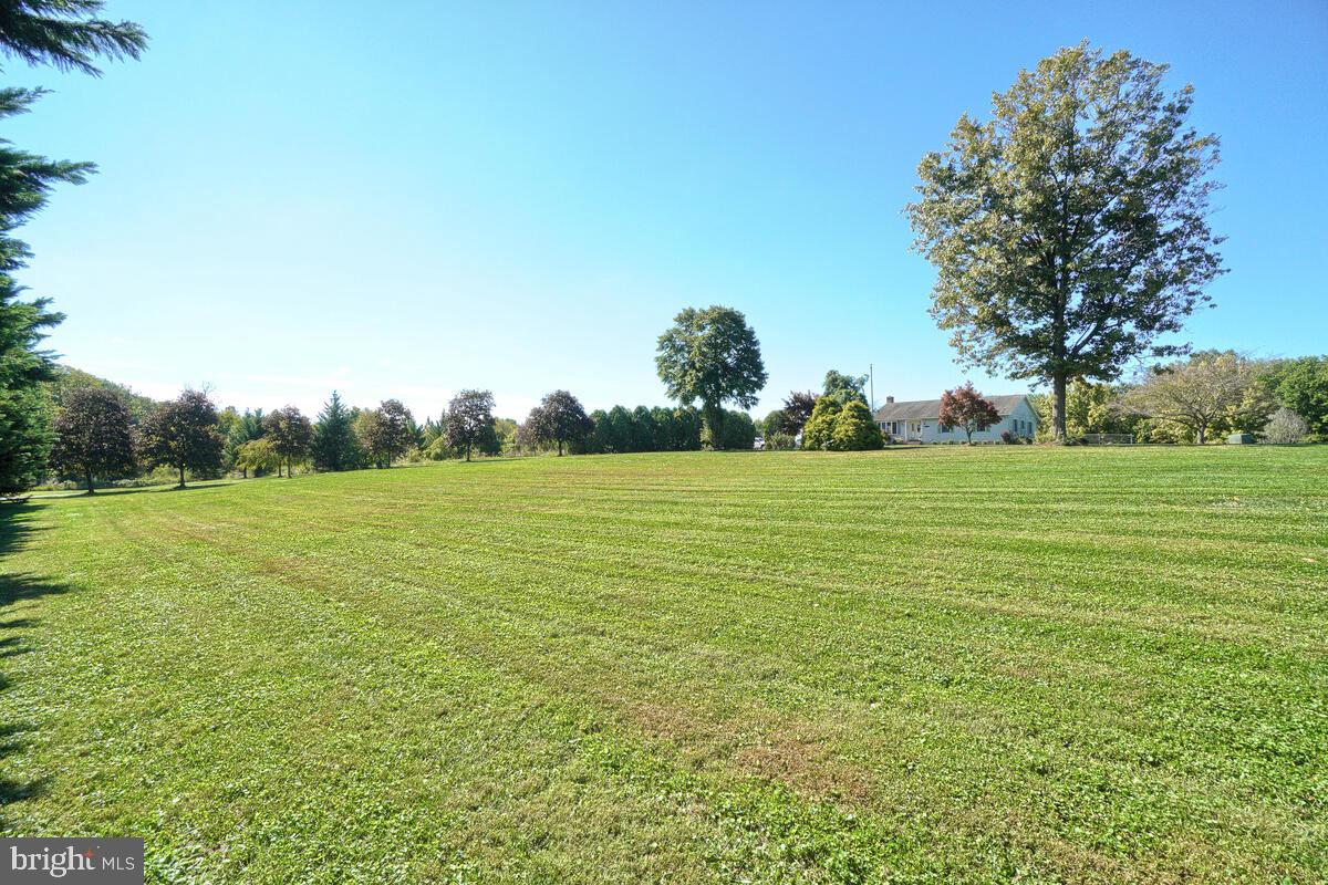 8850 Brown Church Road Mount Airy, MD 21771 - Photo 11 of 69 Gallery Image 11