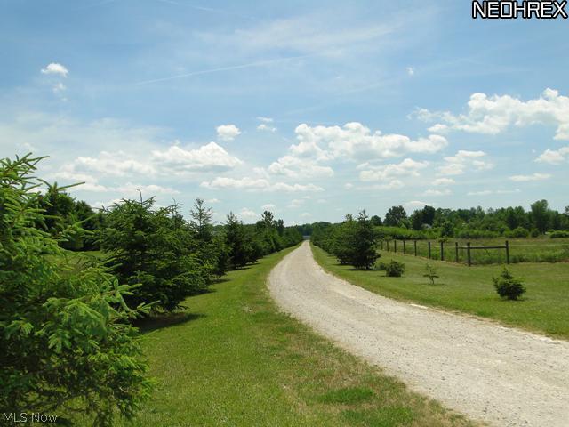 8139 Chatham Road Medina, OH 44256 - Photo 5 of 13 Gallery Image 5