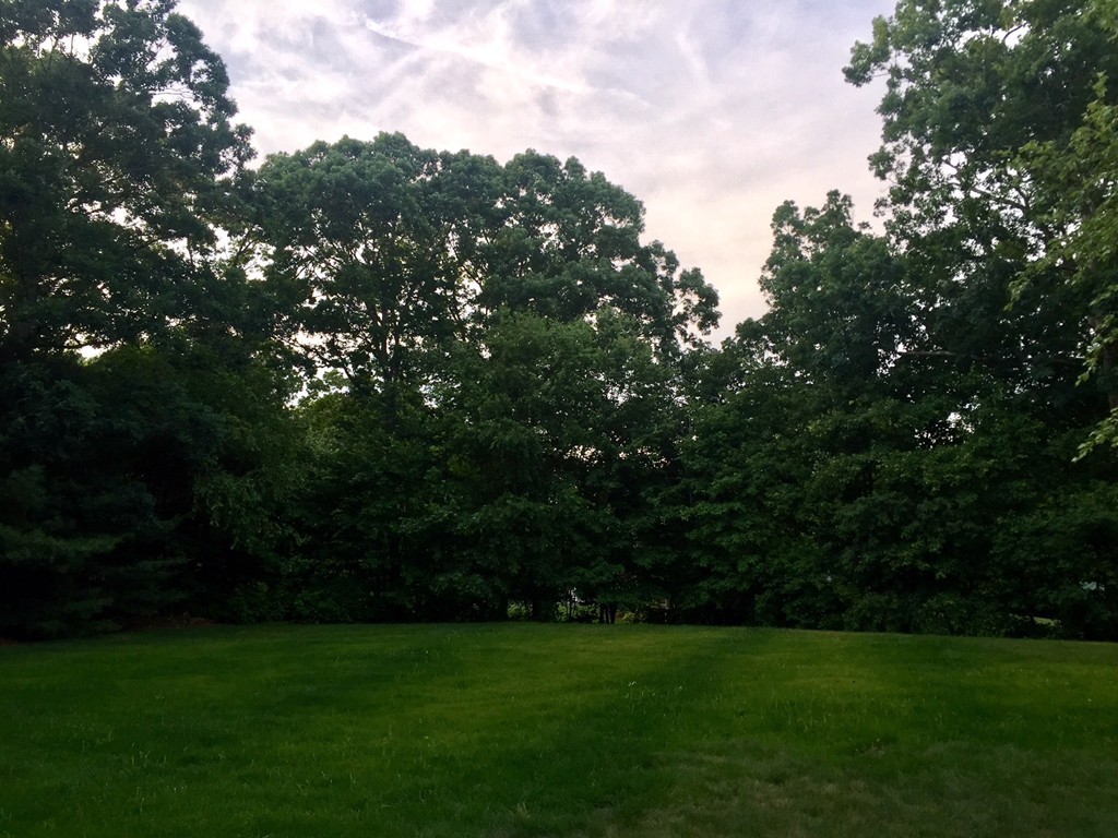 20 Broken Tree Road Medway, MA 02053 - Photo 4 of 8 a view of a grassy field with trees