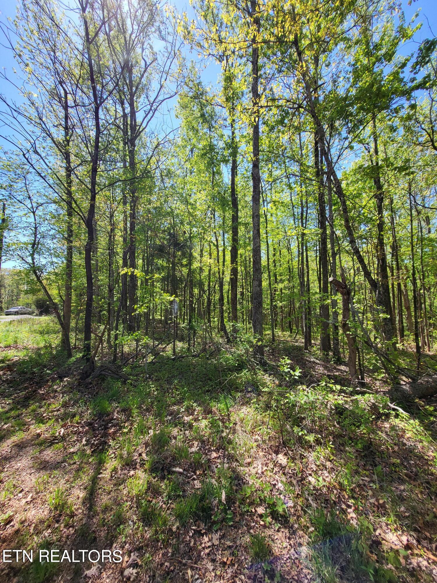 Jolley Road Grandview, TN 37337 - Photo 2 of 4 20240425_110613