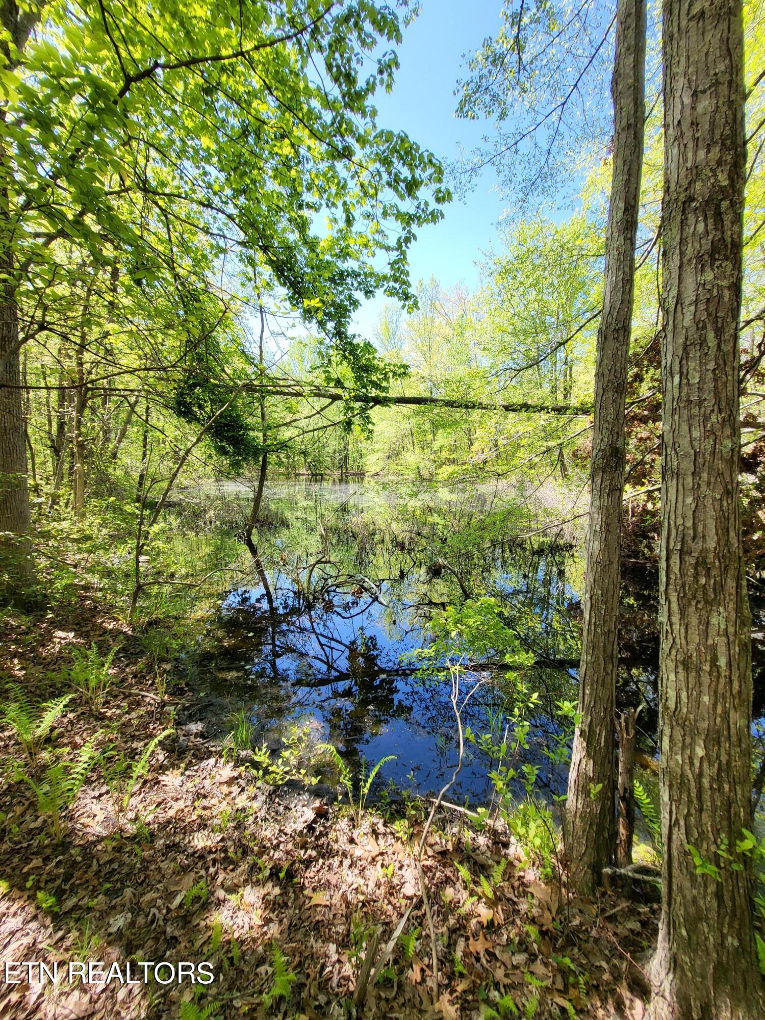 Jolley Road Grandview, TN 37337 - Photo 4 of 4 20240425_110718