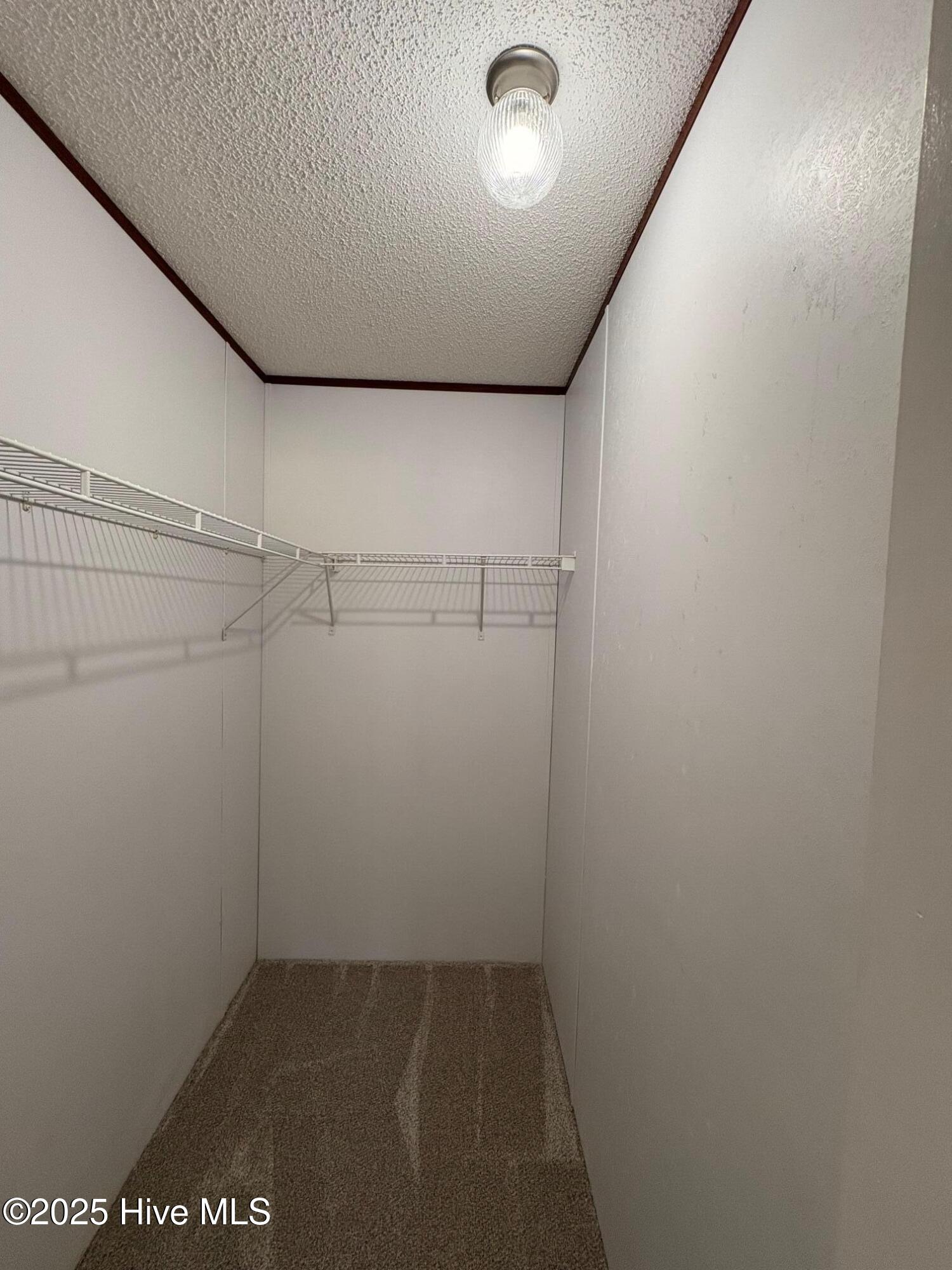 419 Shadneck Road Elizabeth City, NC 27909 - Photo 23 of 37 419 BR 2 walk-in closet