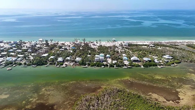an aerial view of a house with a yard and lake view