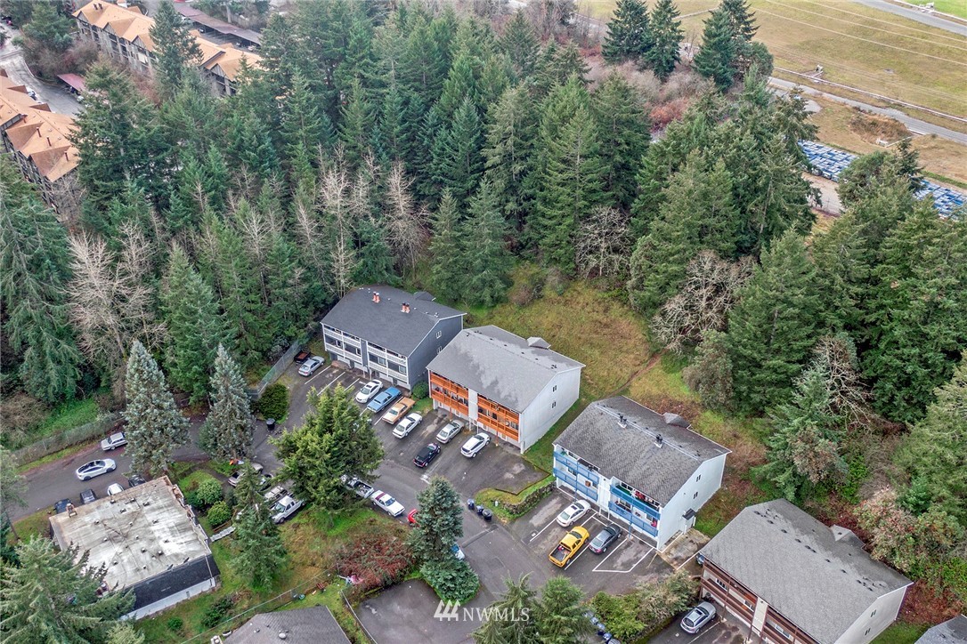 3941 Mason Loop Road Tacoma, WA 98409 - Photo 12 of 16 an aerial view of a house with outdoor space and trees all around