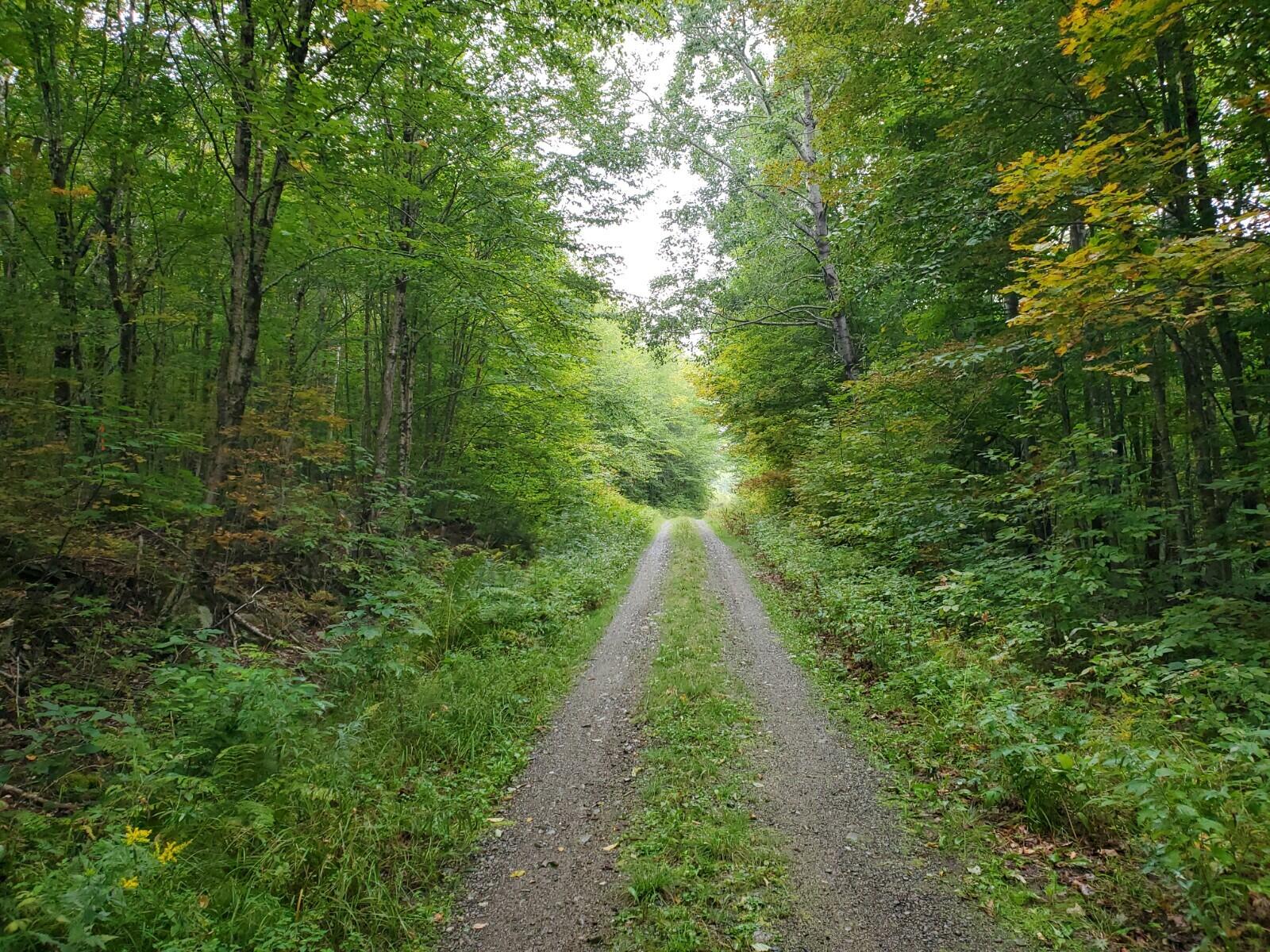 Off Vista View Road Lakeville, ME 04487 - Photo 10 of 10 20210915_115524
