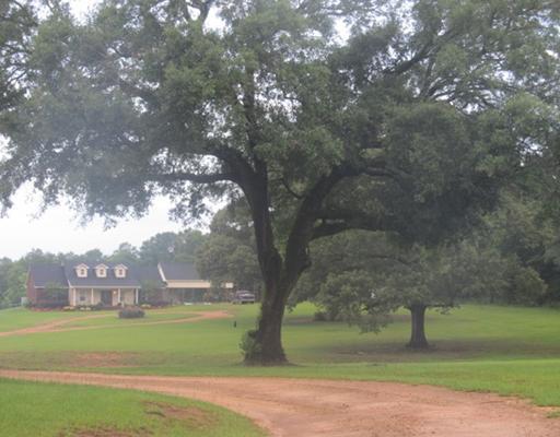 159 B Charles Gunter Road Lucedale, MS 39452 - Photo 2 of 16 Additional Photo