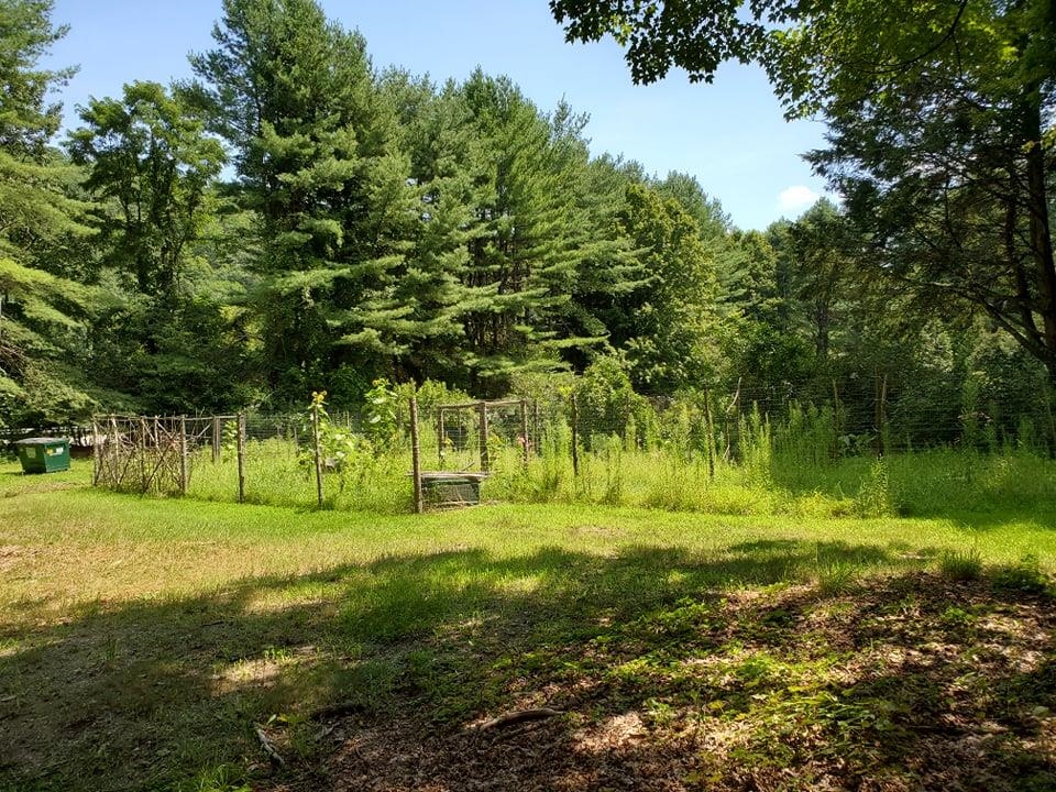 1256 West River Road Brattleboro, VT 05301 - Photo 29 of 29