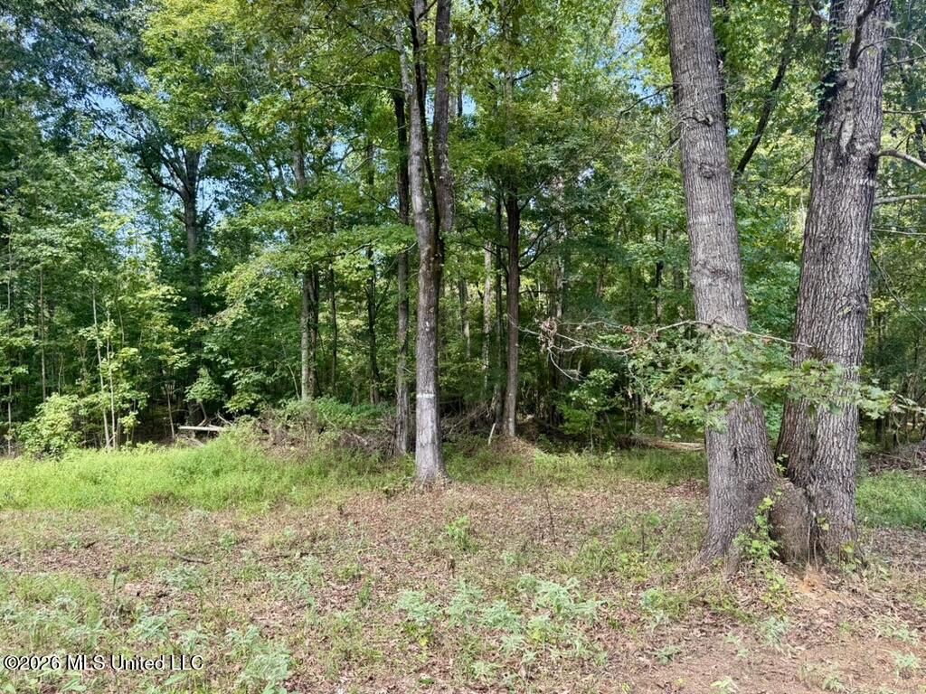 1 Chapel Hill Road Utica, MS 39175 - Photo 78 of 107 BF602E38-636A-405D-92EB-384704486B5F_1_1