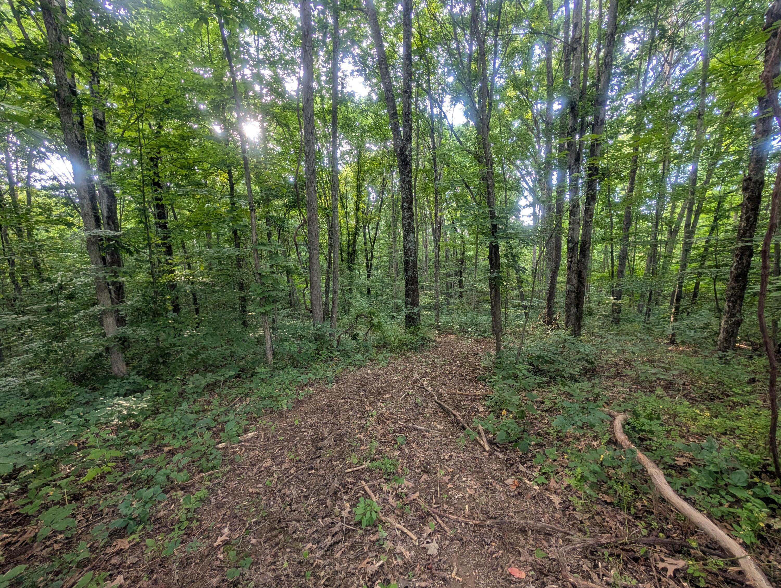 5055 Early Ridge Road McConnelsville, OH 43756 - Photo 9 of 45 6