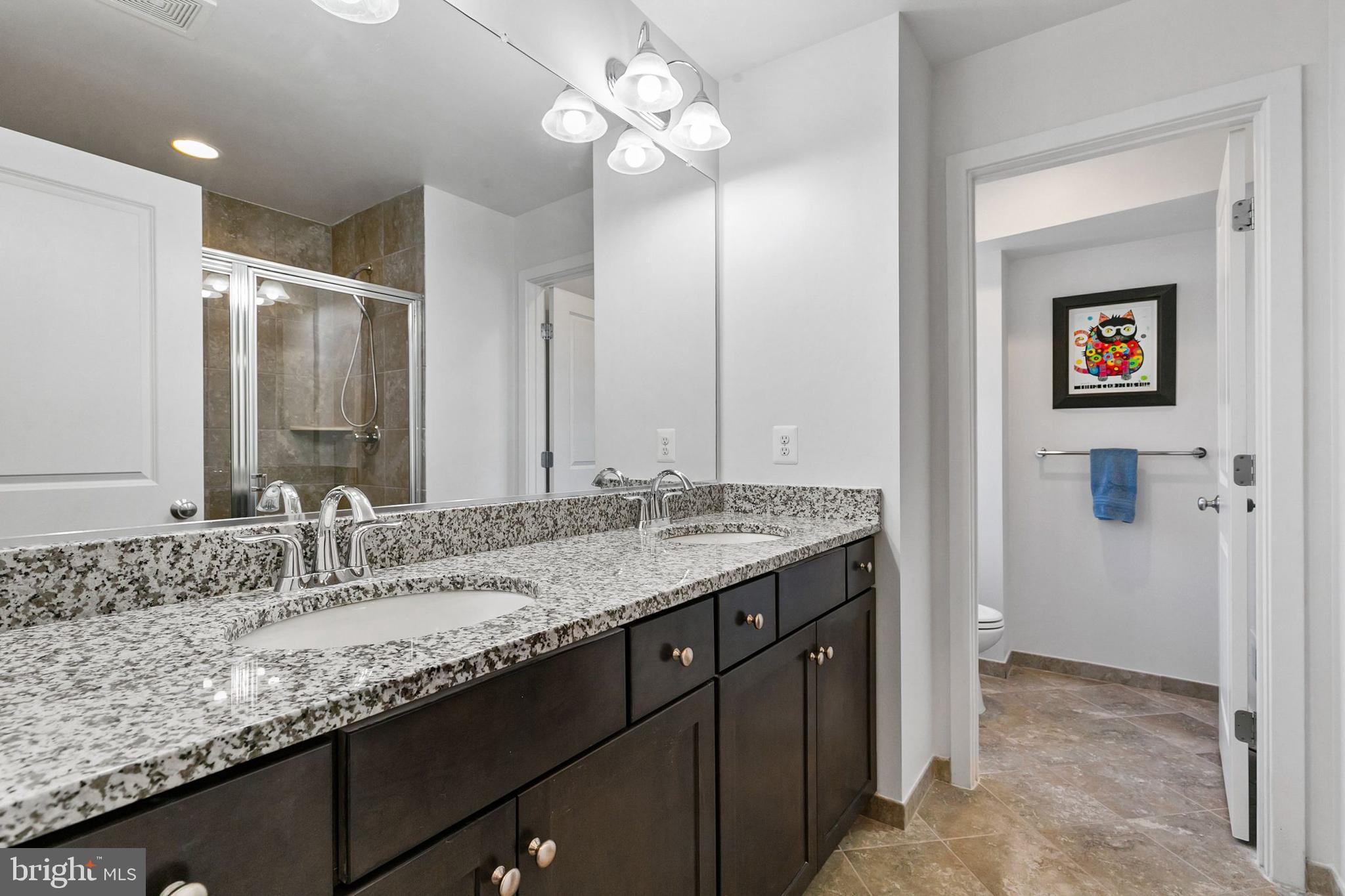 183 Kandinsky Loop Silver Spring, MD 20906 - Photo 35 of 59 Gallery Image 35