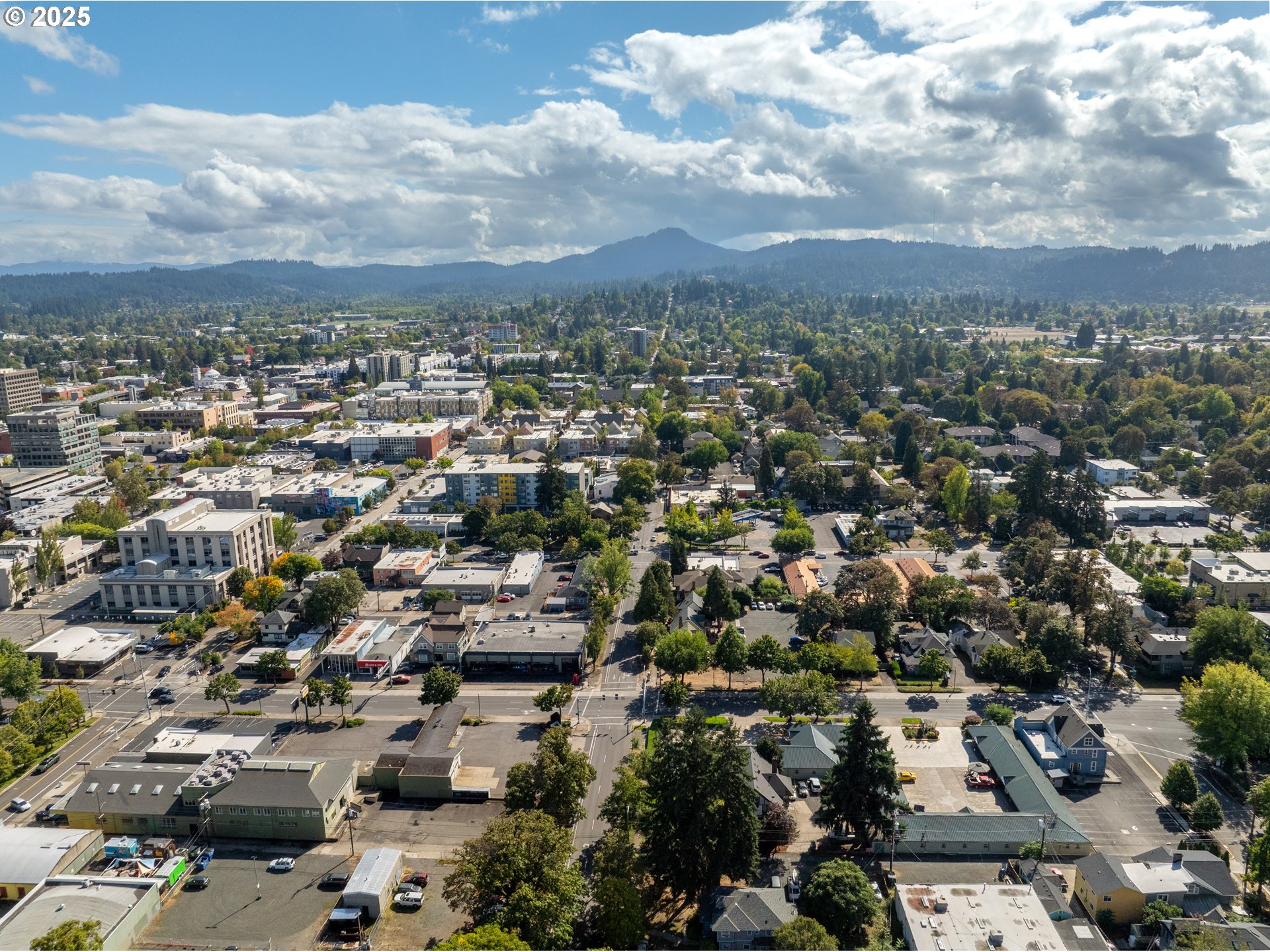 6th Street Junction City, OR 97448 - Photo 4 of 14 an aerial view of residential building with green space