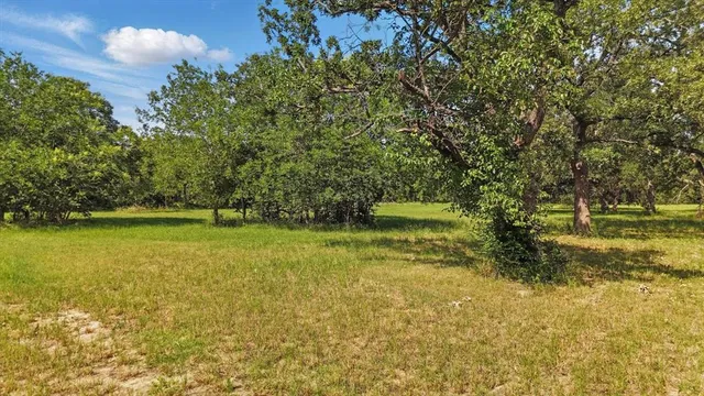 a view of outdoor space with green field and trees all around