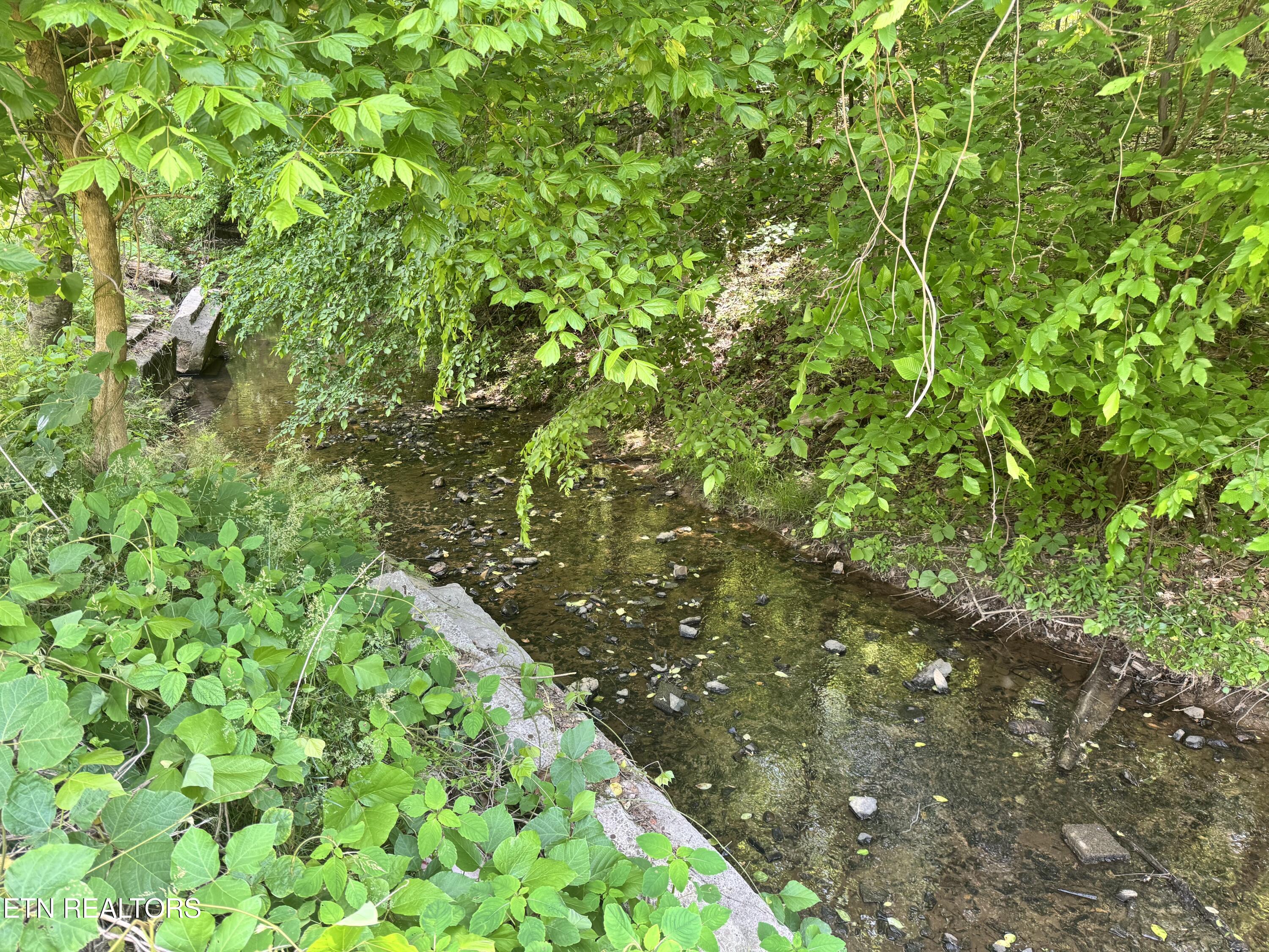 955 Rock Haven Road Bean Station, TN 37708 - Photo 4 of 23 Creek 1