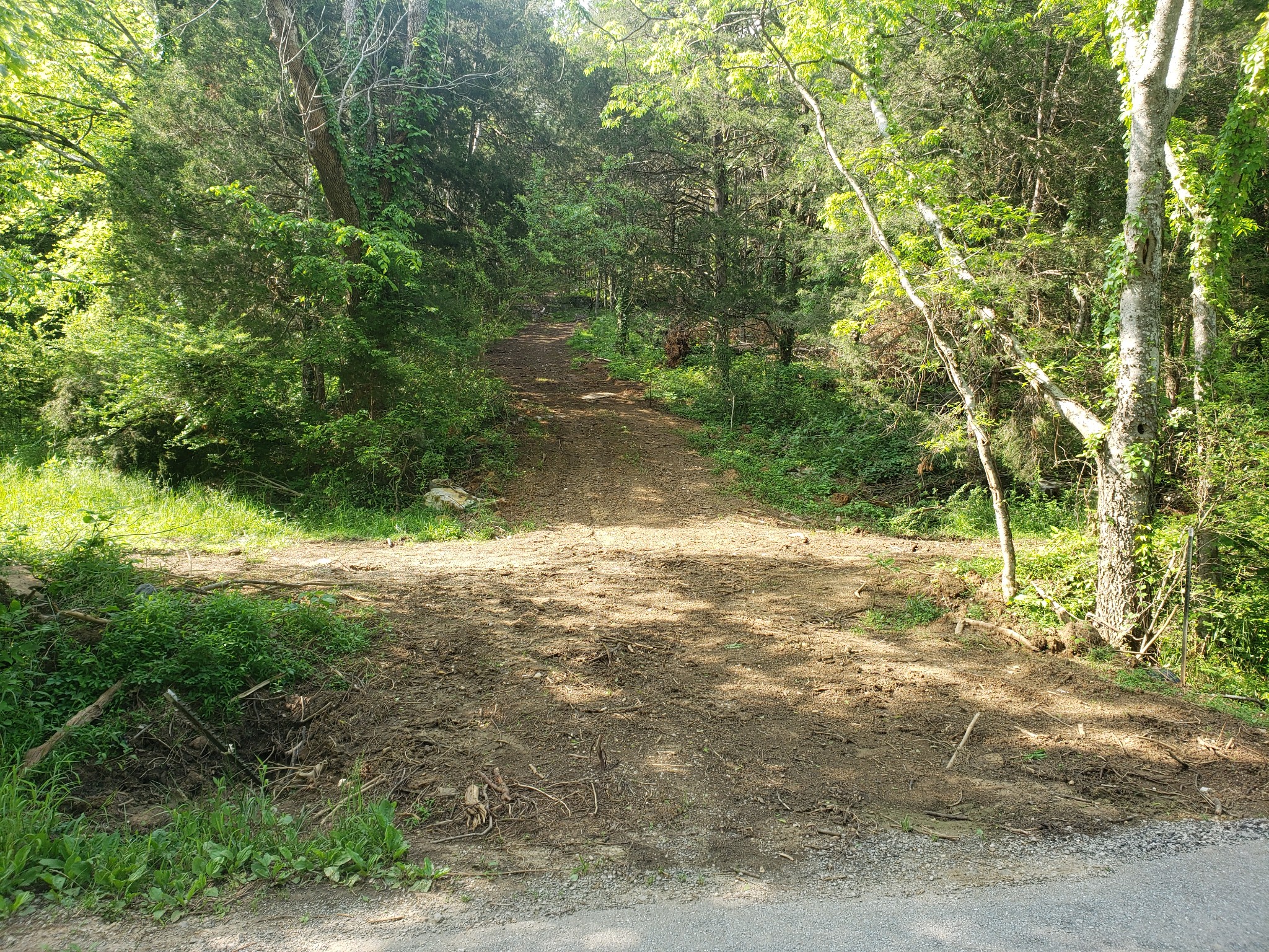0 Conditt Hollow Road Elmwood, TN 38560 - Photo 1 of 7 Gallery Image 1