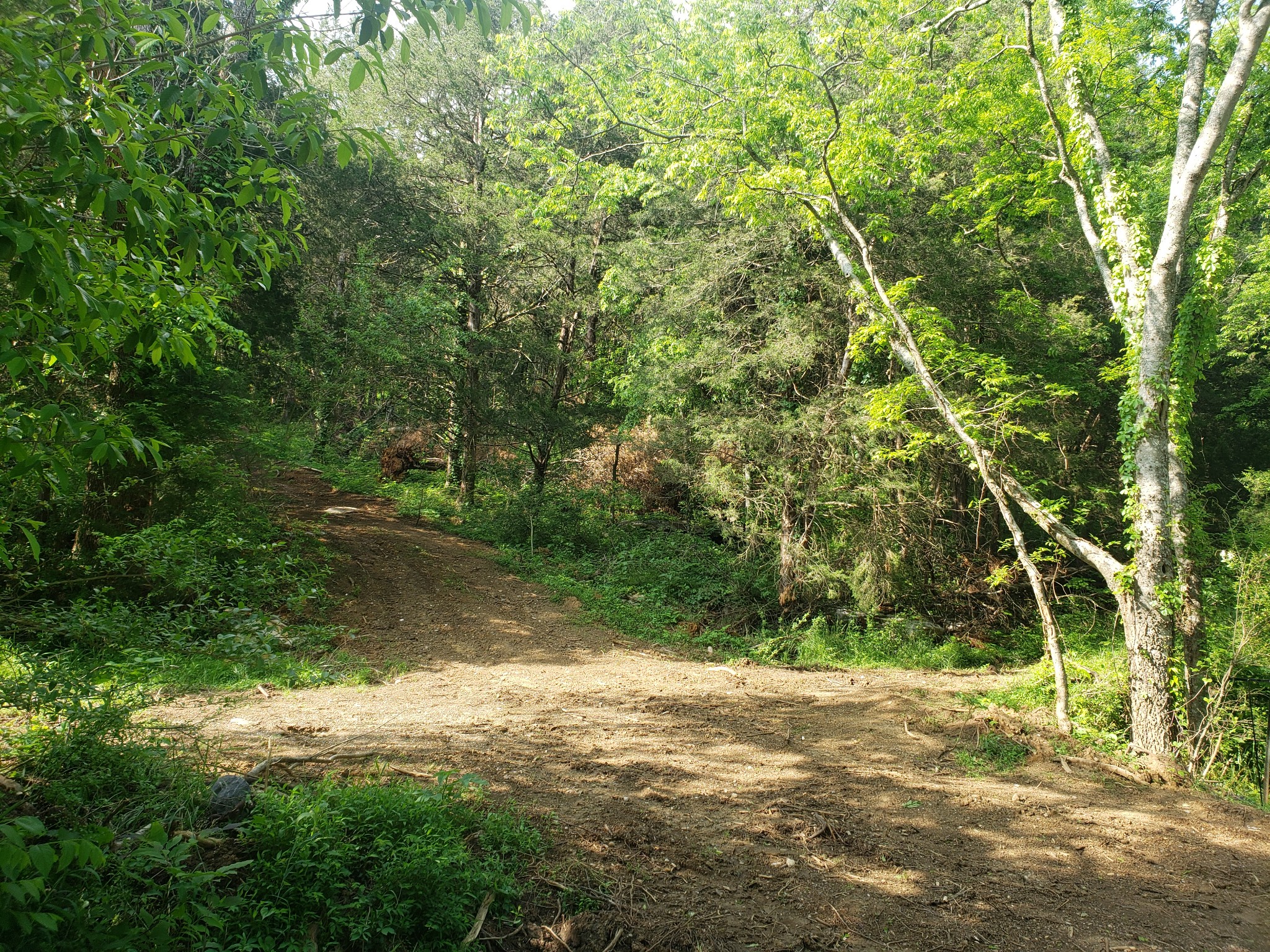 0 Conditt Hollow Road Elmwood, TN 38560 - Photo 2 of 7 Gallery Image 2