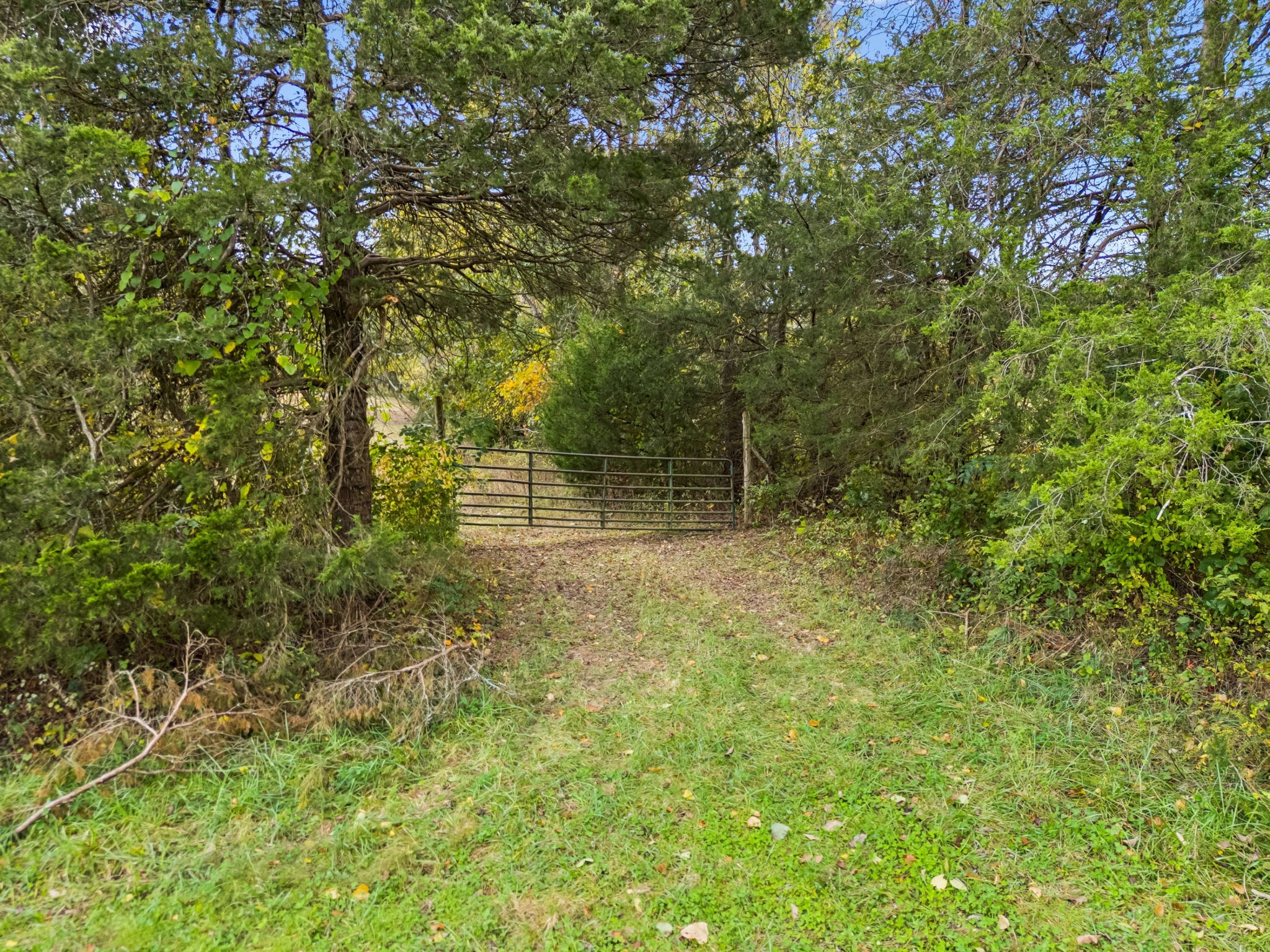 0 Lindsley Road Lebanon, TN 37090 - Photo 12 of 42 Gallery Image 12