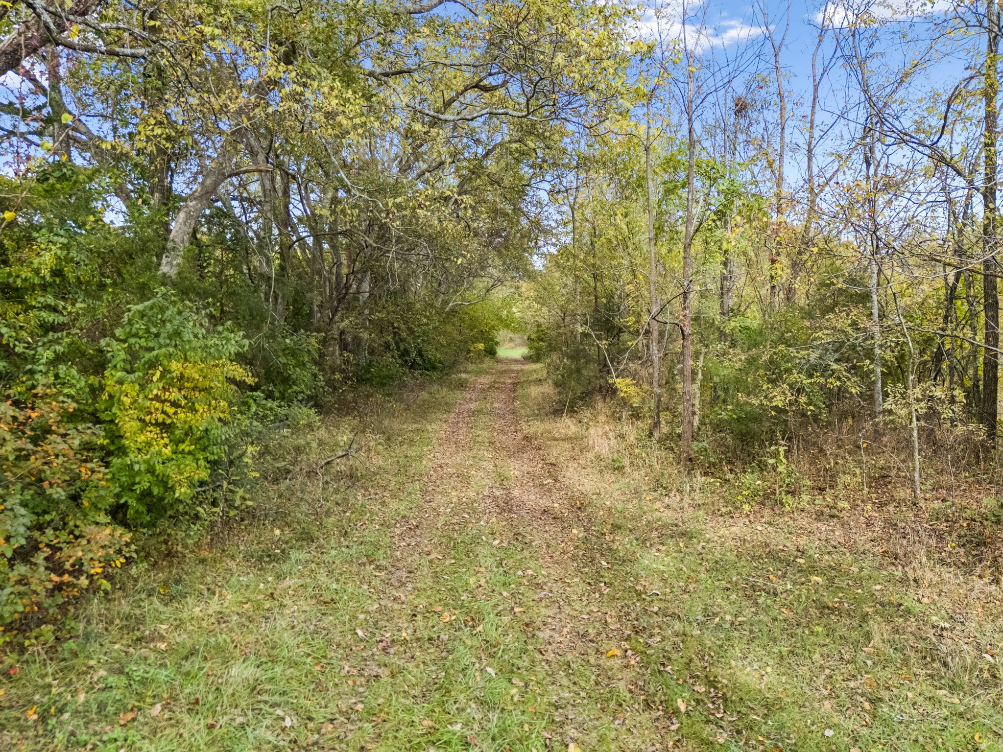 0 Lindsley Road Lebanon, TN 37090 - Photo 13 of 42 Gallery Image 13