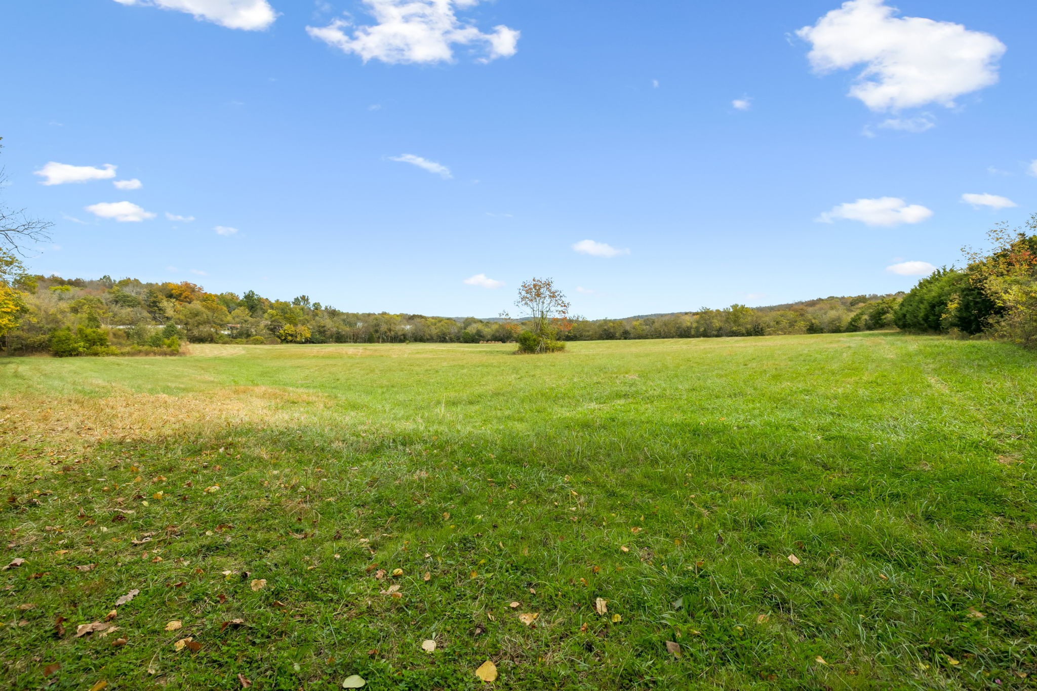 0 Lindsley Road Lebanon, TN 37090 - Photo 14 of 42 Gallery Image 14