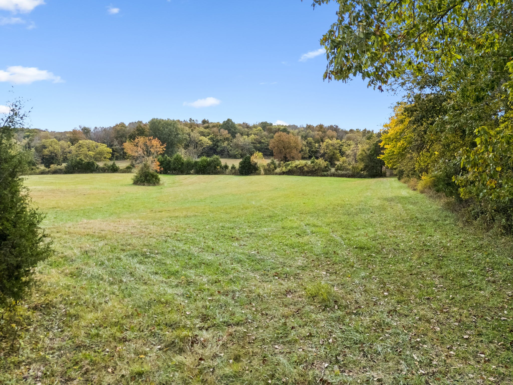 0 Lindsley Road Lebanon, TN 37090 - Photo 17 of 42 Gallery Image 17