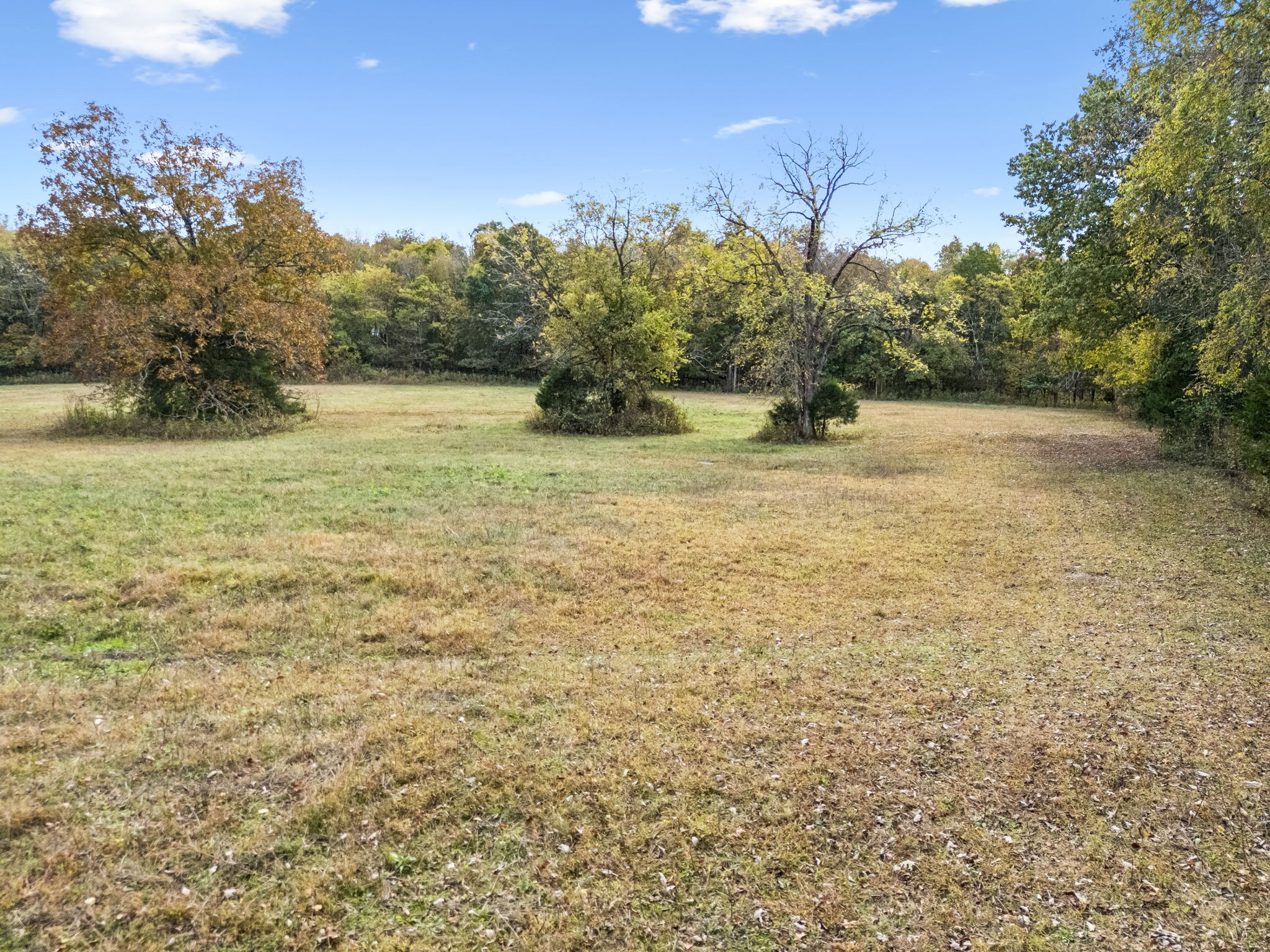 0 Lindsley Road Lebanon, TN 37090 - Photo 22 of 42 Gallery Image 22