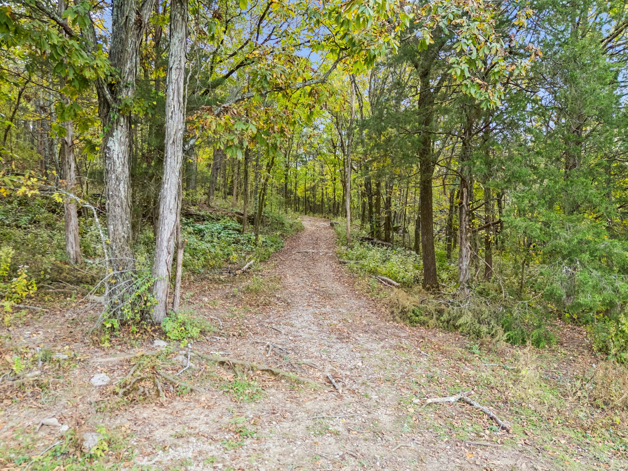 0 Lindsley Road Lebanon, TN 37090 - Photo 31 of 42 Gallery Image 31