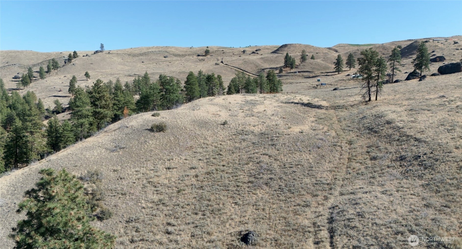 54 Wolf Holler Road Waterville, WA 98858 - Photo 8 of 14