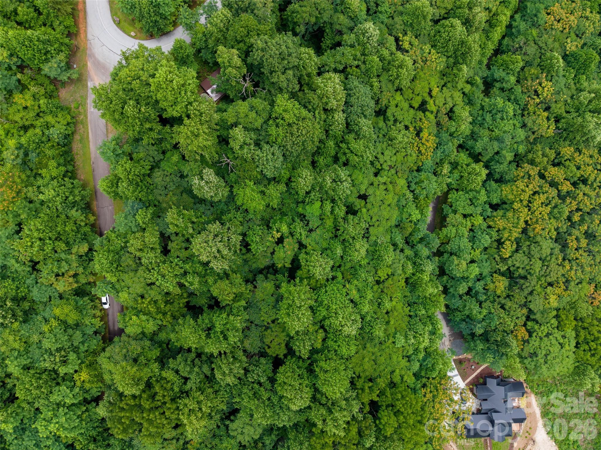 236 Nottingham Dr Mill Spring Mill Spring, NC 28756 - Photo 9 of 19