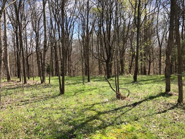 280 Stephens Point Road Russell Springs, KY 42642 - Photo 2 of 11 IMG_5348