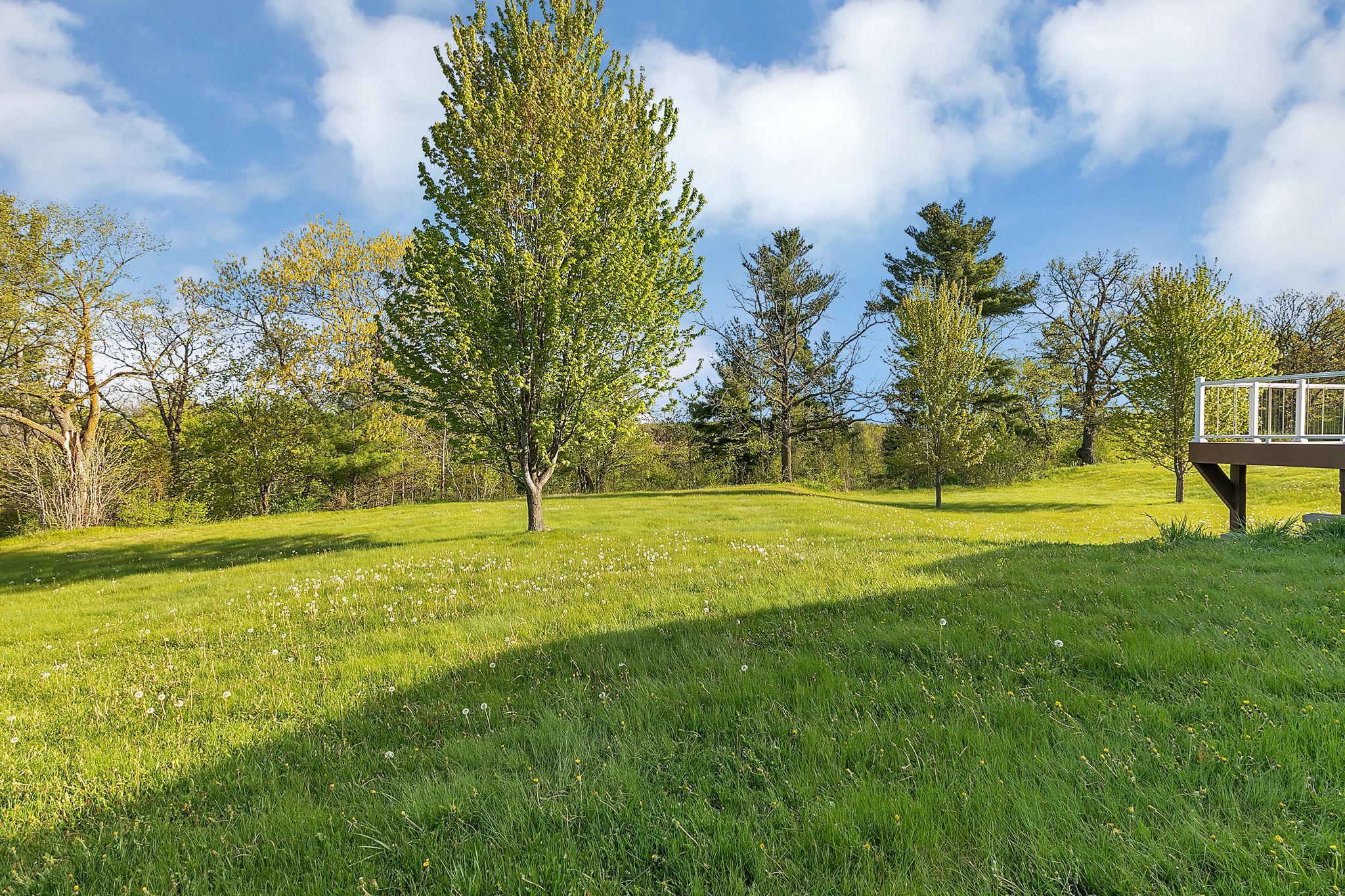 Xxxxx 190th Street Milaca, MN 56353 - Photo 10 of 96