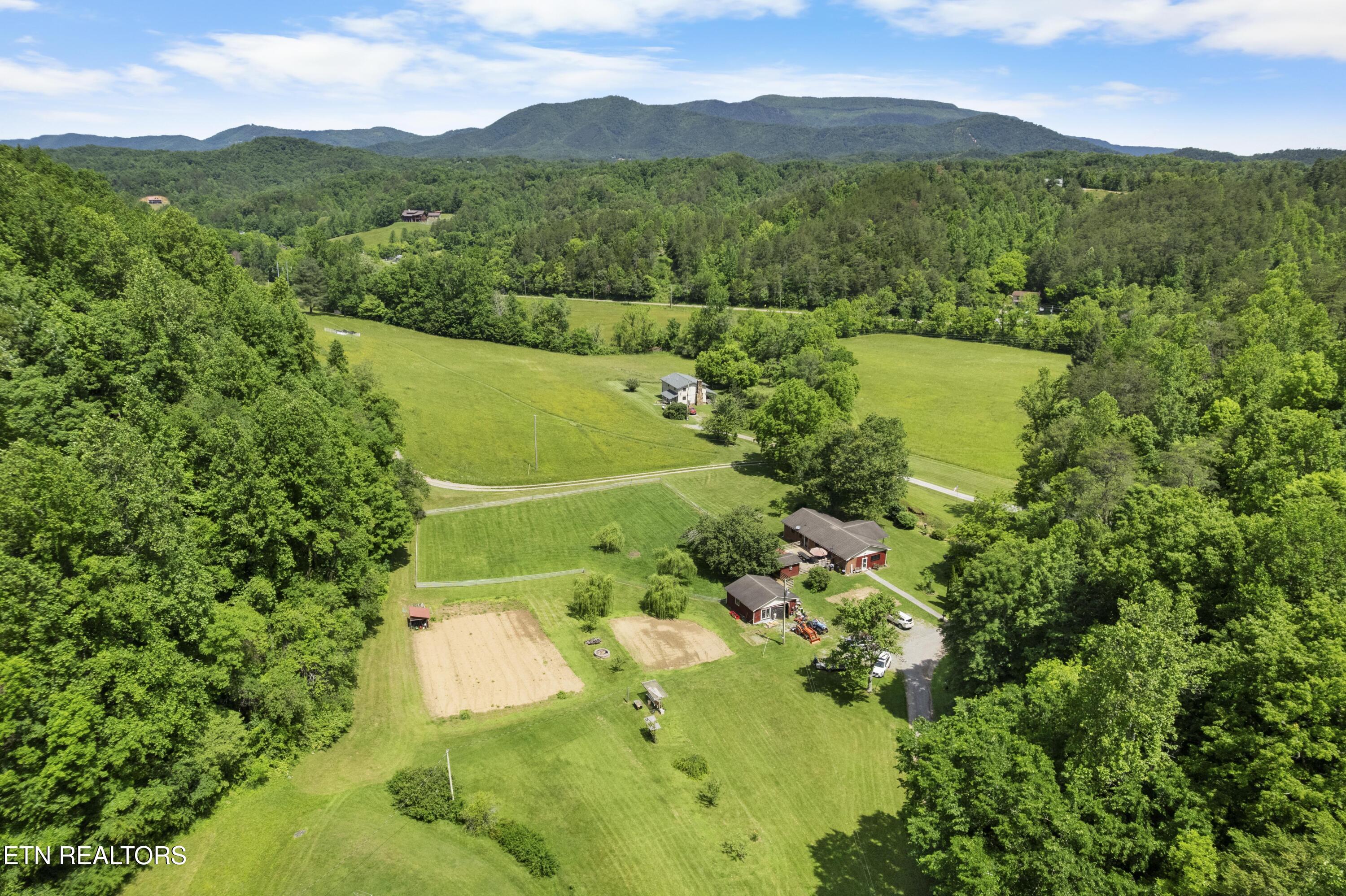 4884 Jones Cove Road Cosby, TN 37722 - Photo 13 of 51 DJI_0469