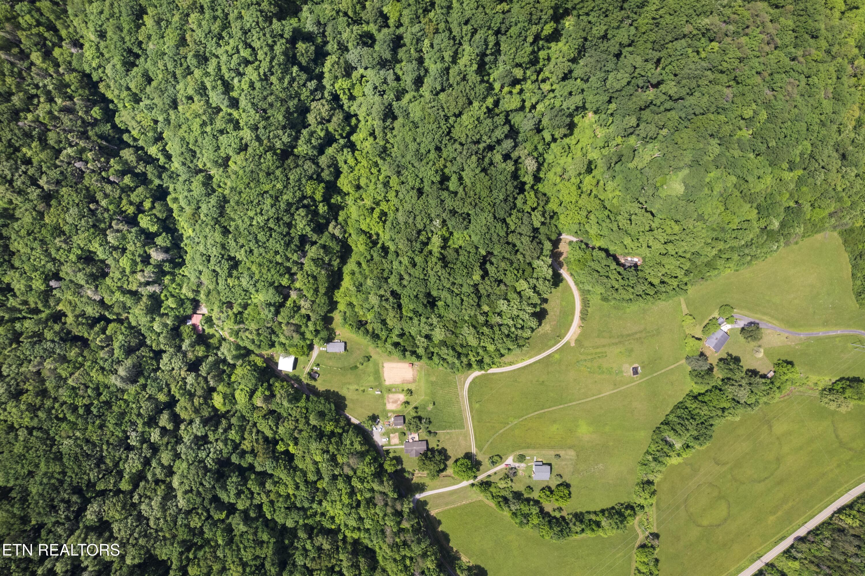 4884 Jones Cove Road Cosby, TN 37722 - Photo 31 of 51 DJI_0419